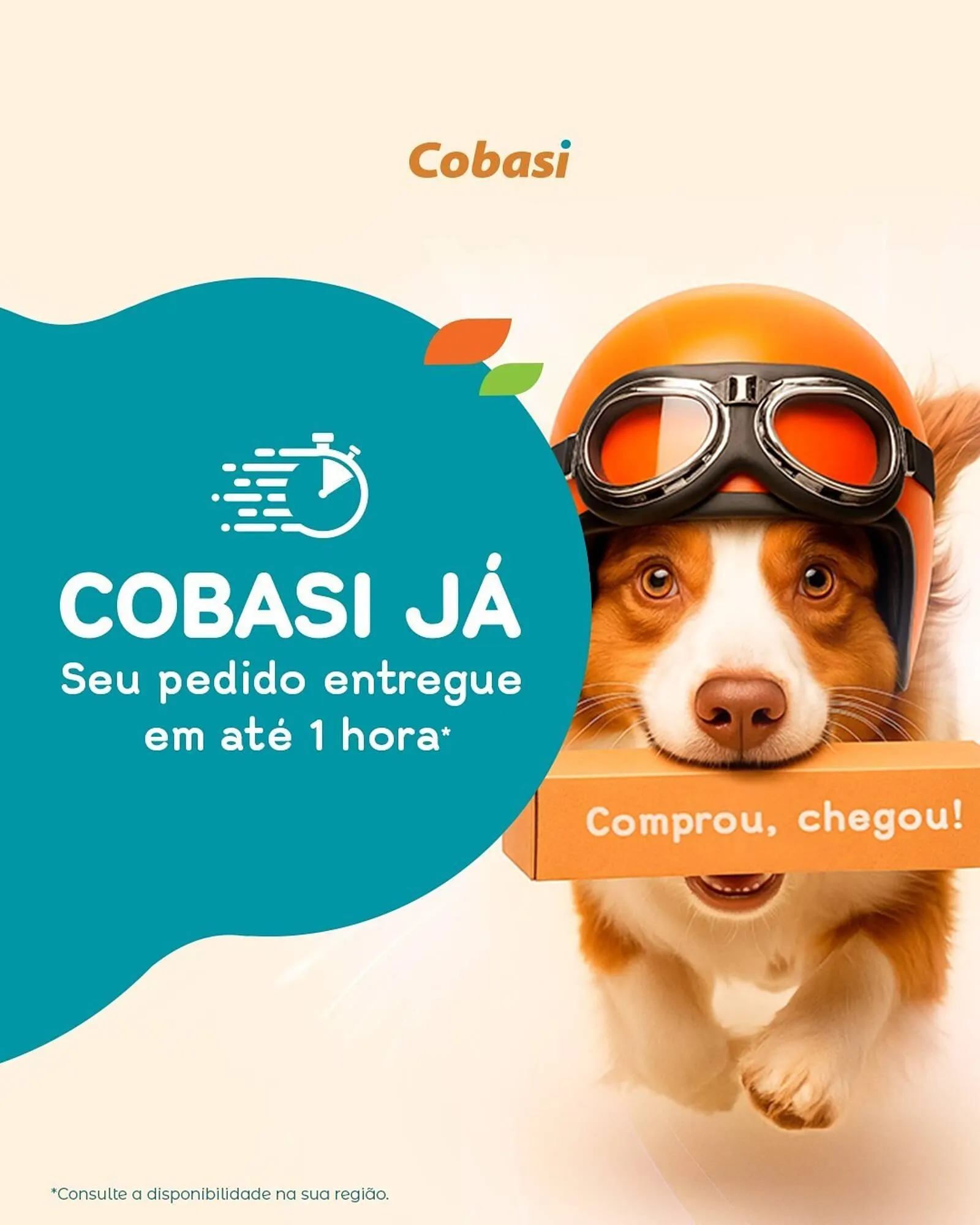 catálogo Cobasi - 1