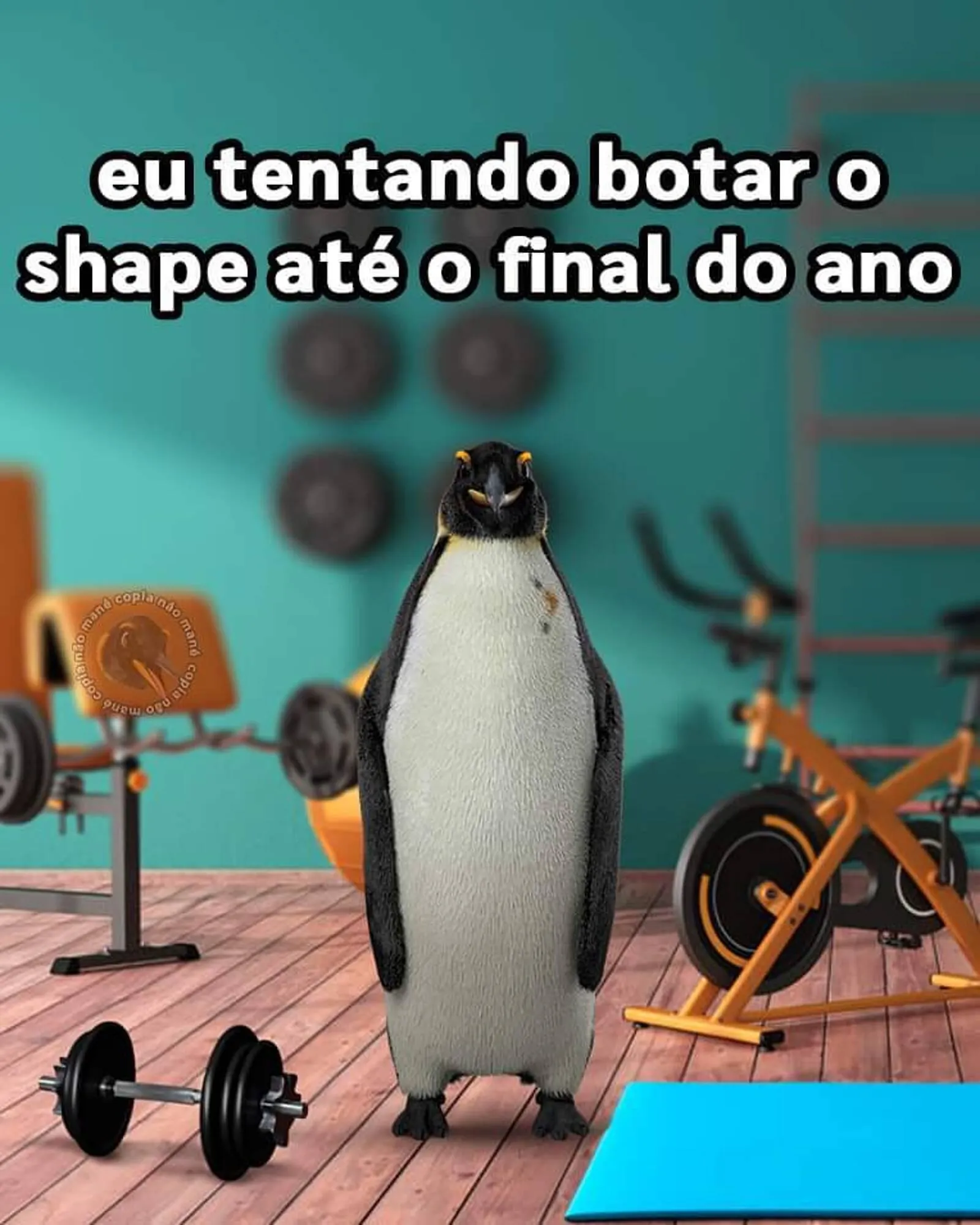 Encarte de Catálogo Pontofrio 7 de setembro até 12 de setembro 2023 - Pagina 1