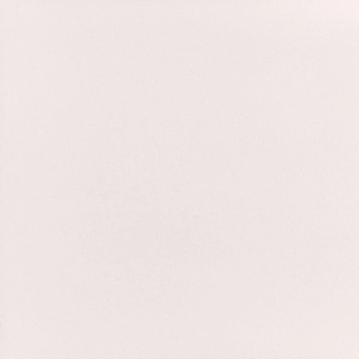 Porcelanato Polido Retificado Bianco Master Elizabeth