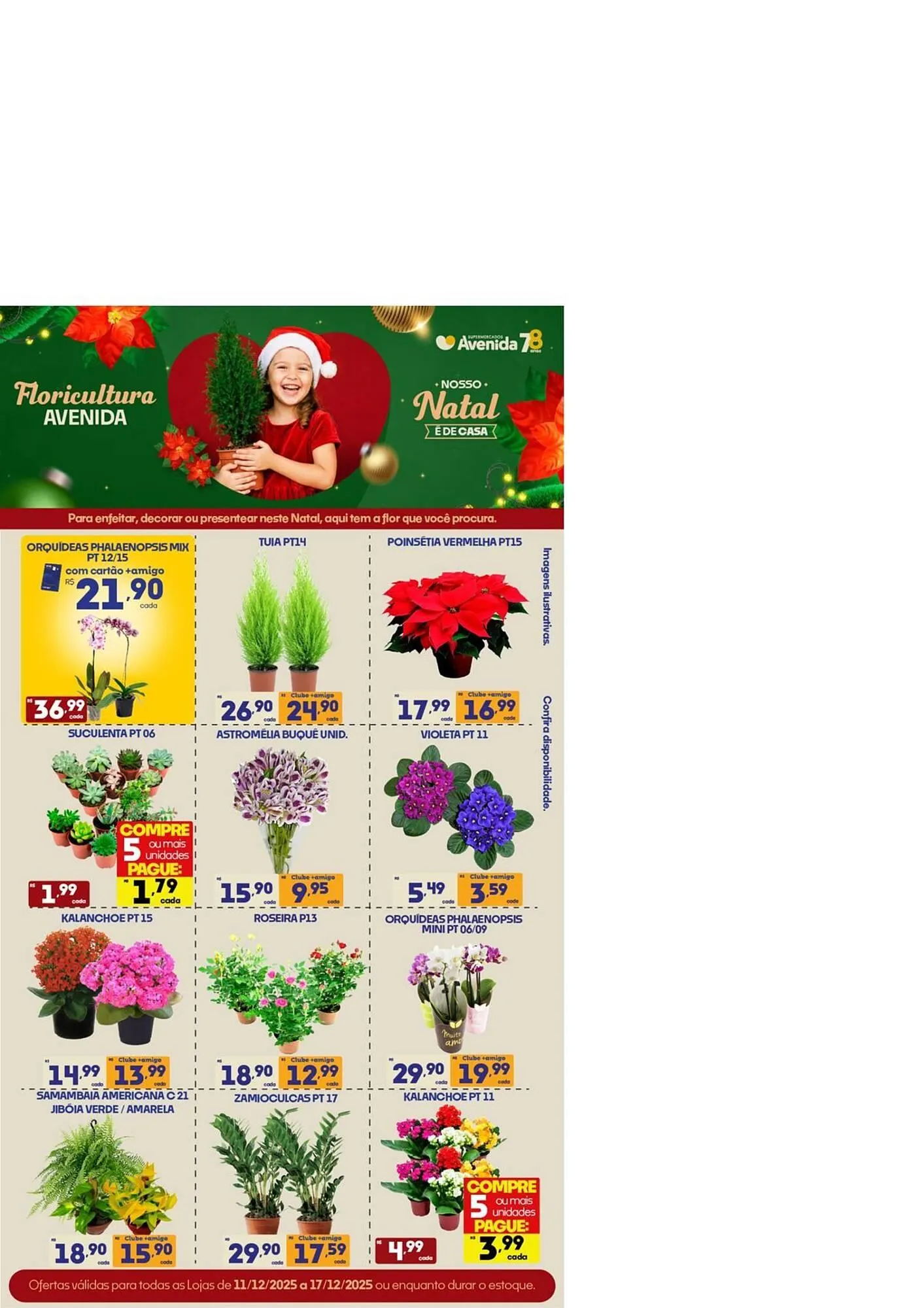 Encarte de Catálogo Supermercados Avenida 16 de dezembro até 17 de dezembro 2025 - Pagina 15