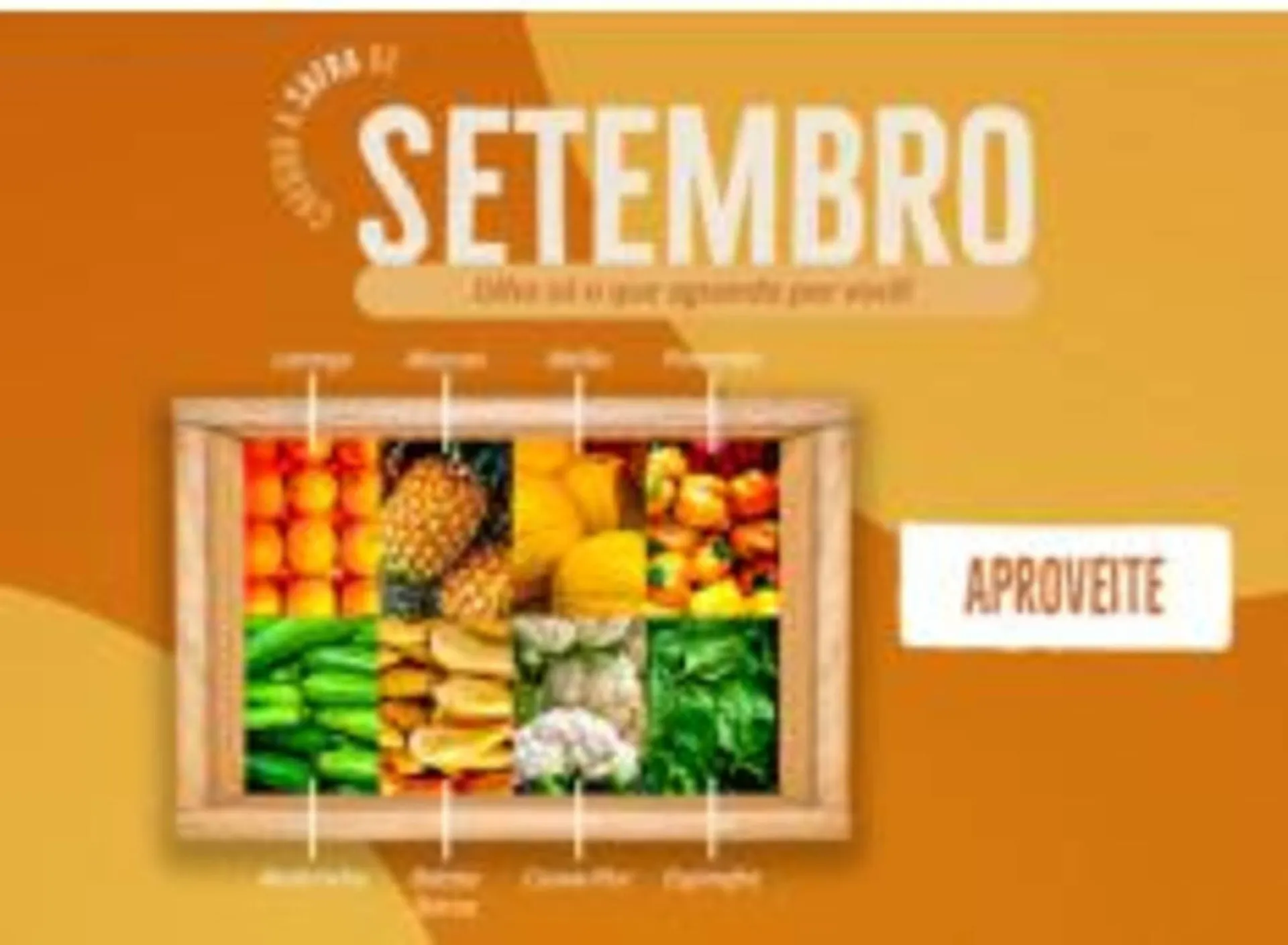 Encarte de Catálogo Natural da Terra 30 de setembro até 5 de outubro 2025 - Pagina 9