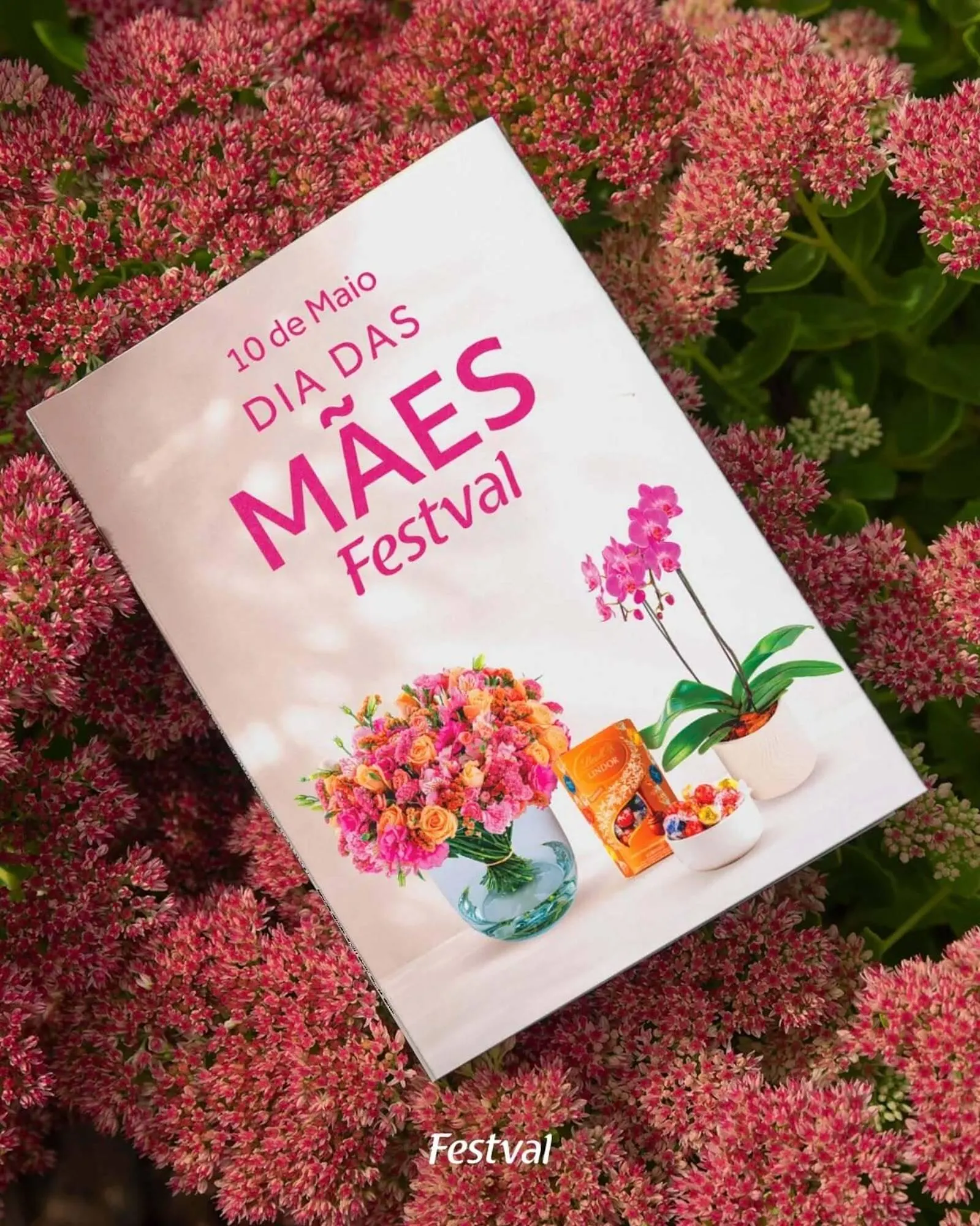 Encarte de Encarte Festval 29 de abril até 10 de maio 2026 - Pagina 1