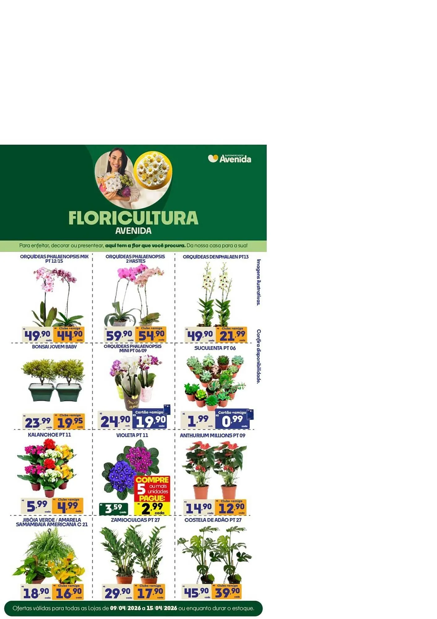 Encarte de Catálogo Supermercados Avenida 14 de abril até 15 de abril 2026 - Pagina 13