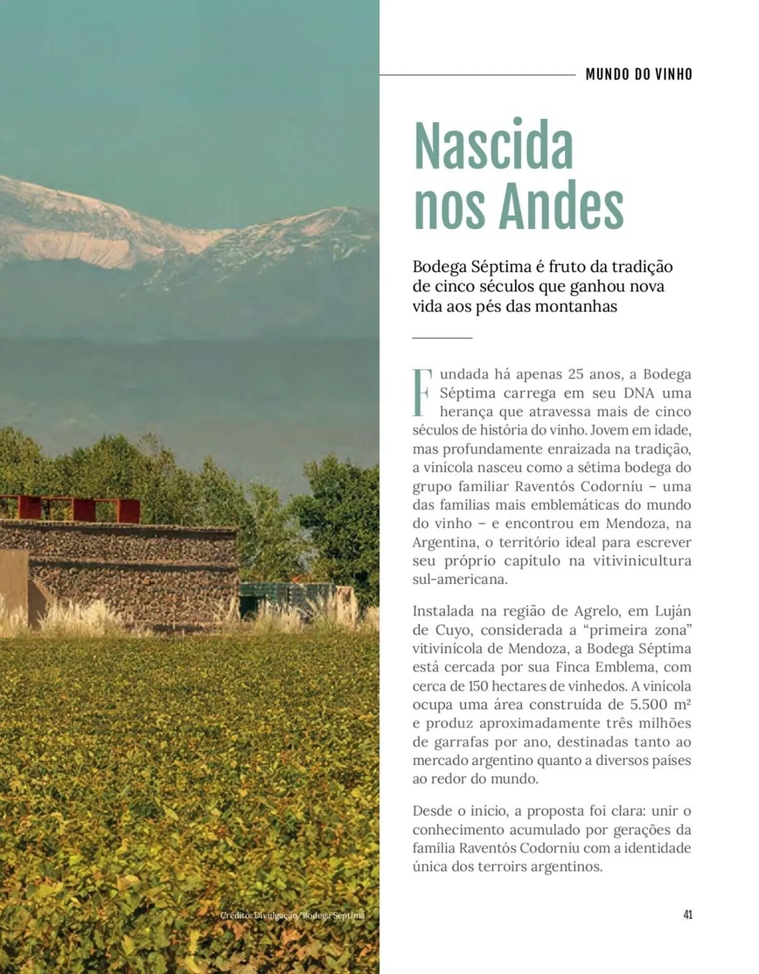 Encarte de Encarte Festval 16 de março até 31 de março 2026 - Pagina 41