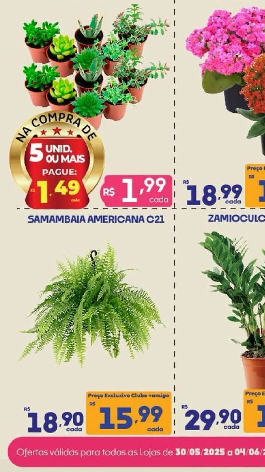 Encarte de Catálogo Supermercados Avenida 2 de junho até 8 de junho 2025 - Pagina 6