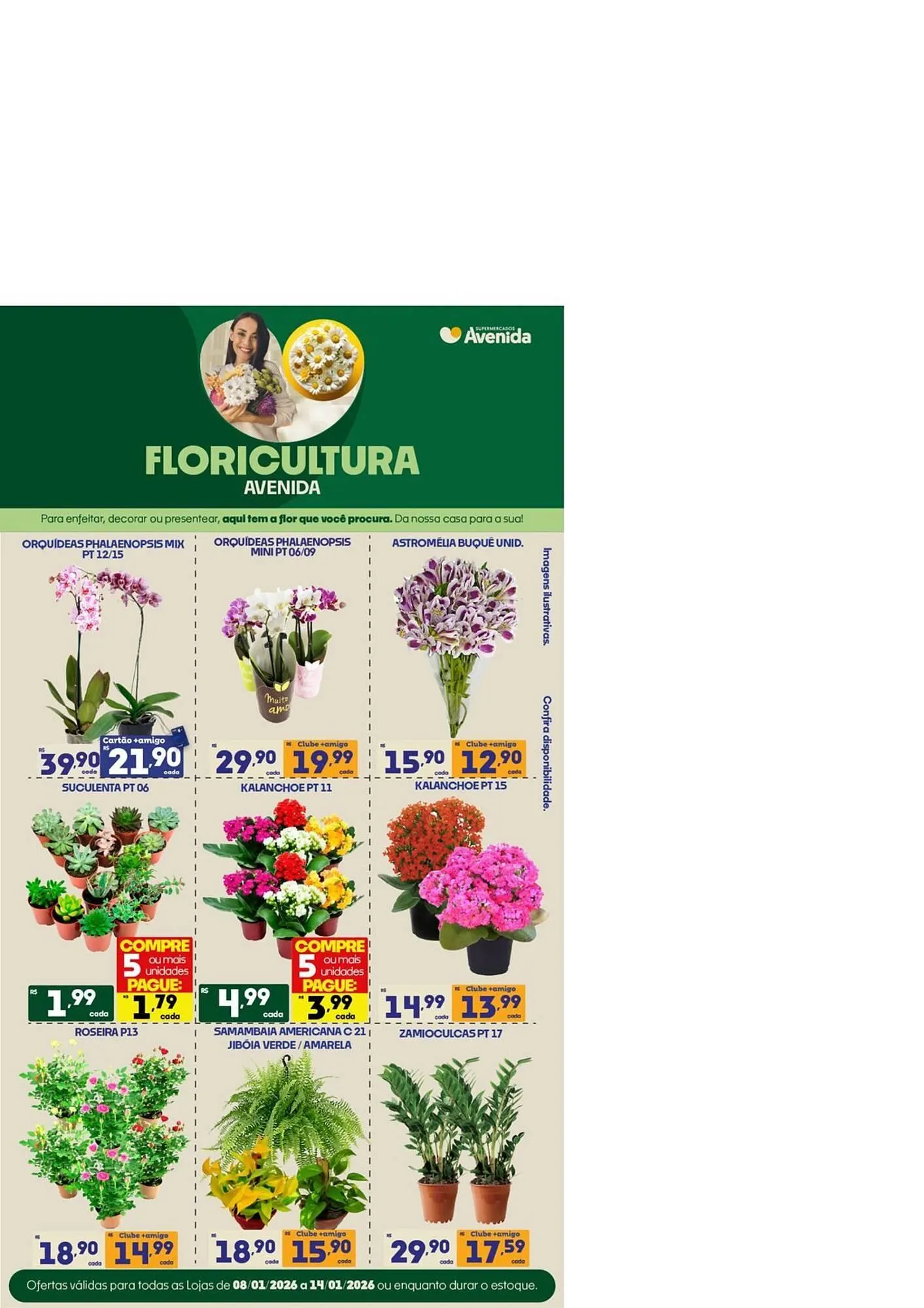 Encarte de Catálogo Supermercados Avenida 9 de janeiro até 18 de janeiro 2026 - Pagina 6