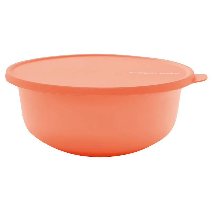 Tigela Aloha Salmon 2 Litros