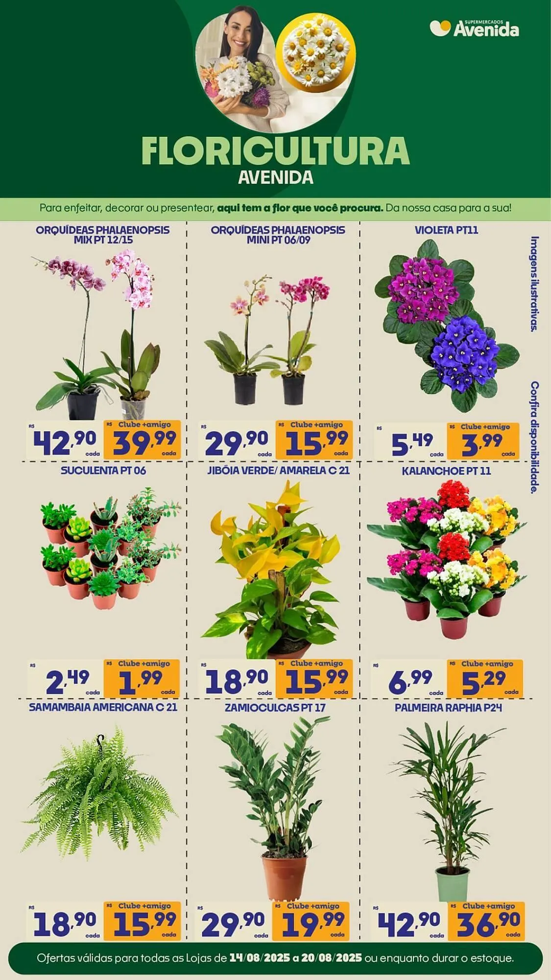 Encarte de Catálogo Supermercados Avenida 18 de agosto até 31 de agosto 2025 - Pagina 12