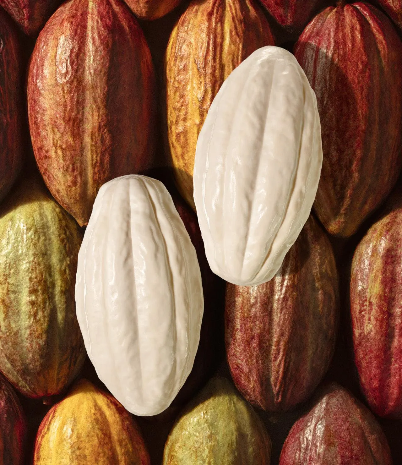 Ekos Cacau Creamy Soap Bar