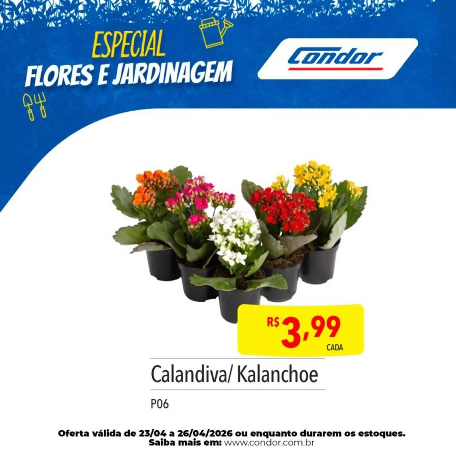 Encarte de Catálogo Supermercados Condor 23 de abril até 26 de abril 2026 - Pagina 23