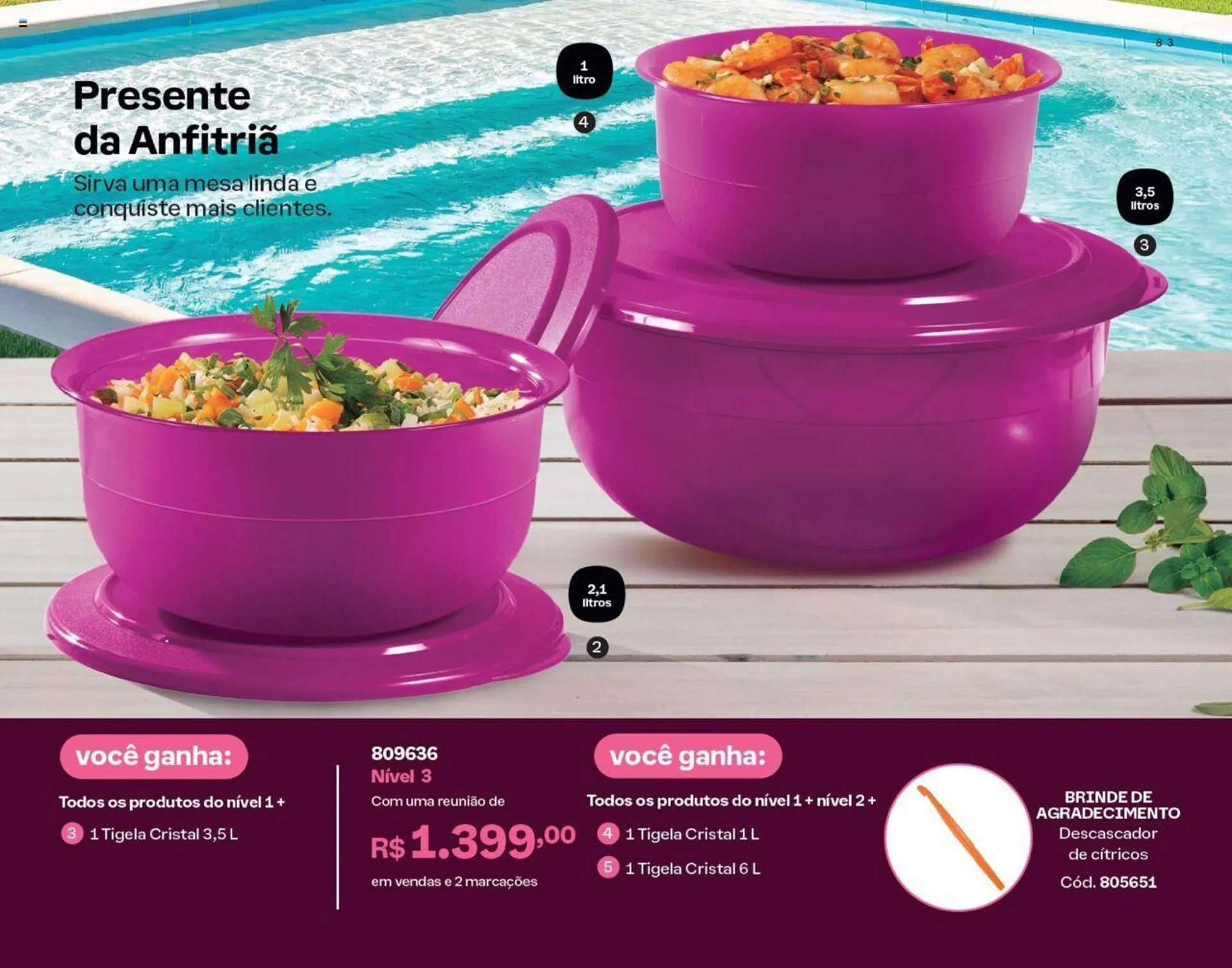 Encarte de Catálogo Tupperware 1 de abril até 30 de abril 2024 - Pagina 84