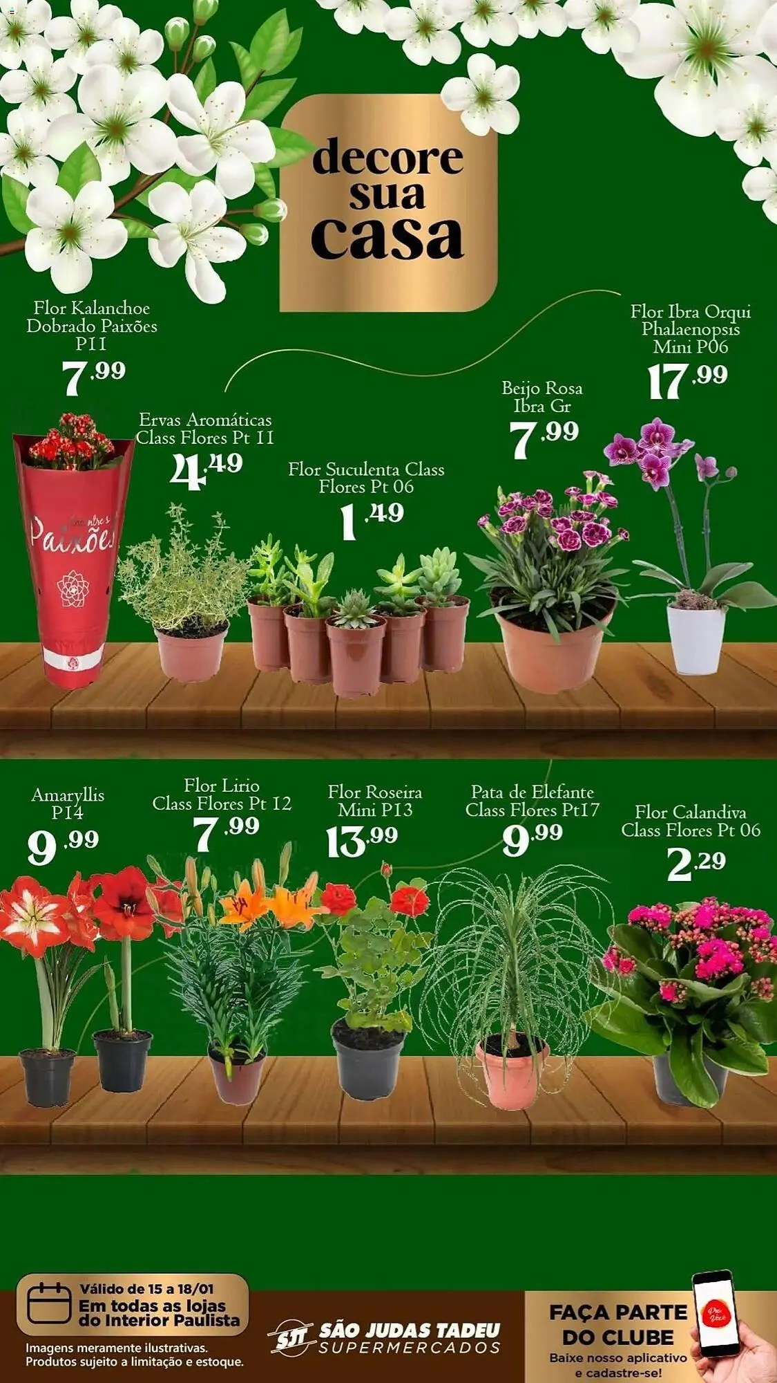 Encarte de Folheto São Judas Tadeu 15 de janeiro até 18 de janeiro 2026 - Pagina 1