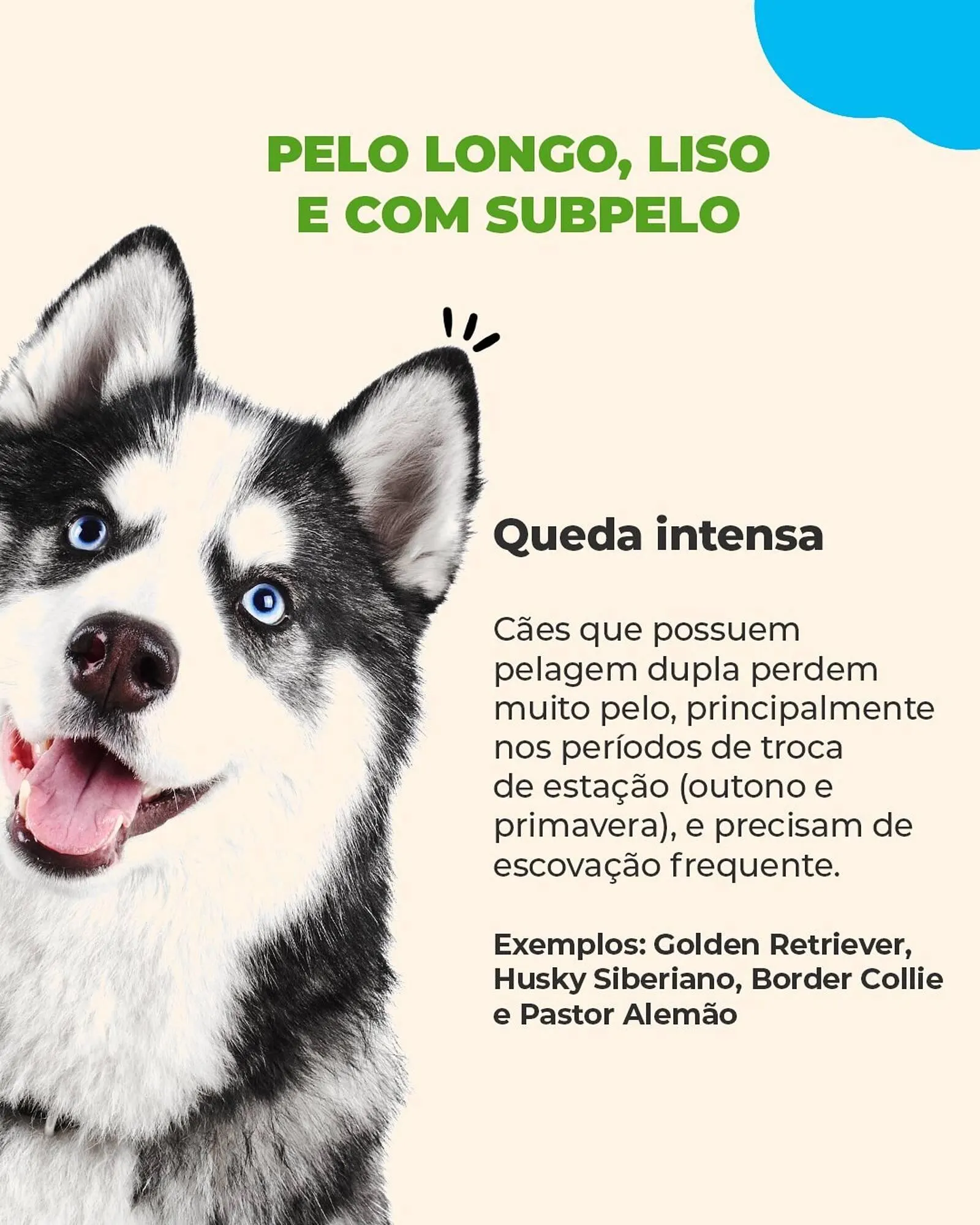 Encarte de Catálogo Cobasi 1 de outubro até 31 de outubro 2025 - Pagina 2