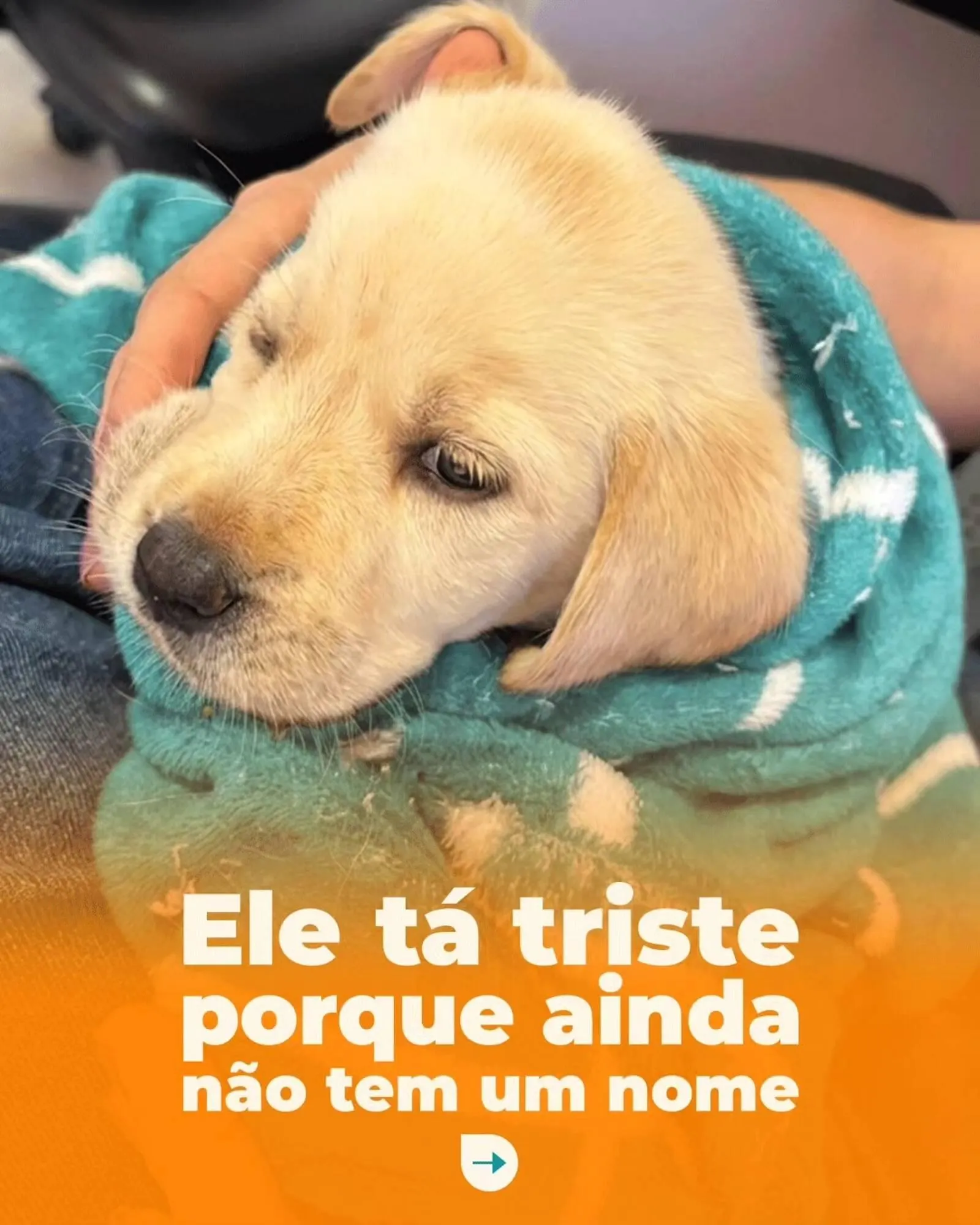 Encarte de Catálogo Cobasi 18 de março até 25 de março 2026 - Pagina 1