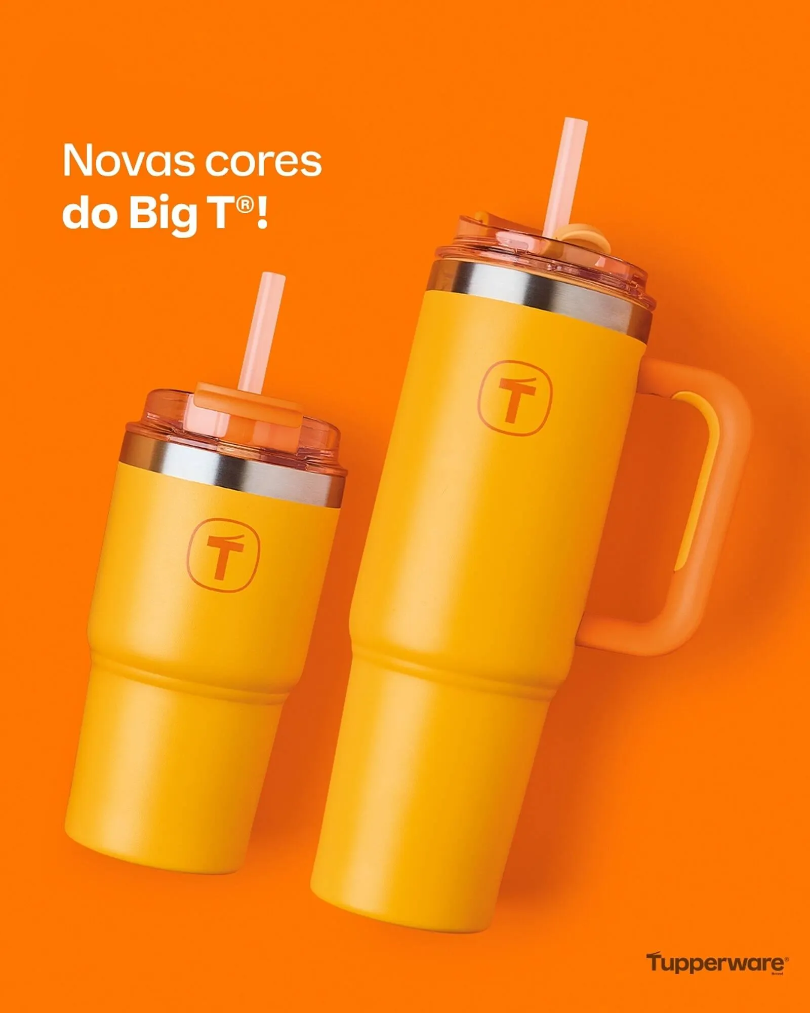 Encarte de Catálogo Tupperware 13 de agosto até 13 de agosto 2025 - Pagina 1