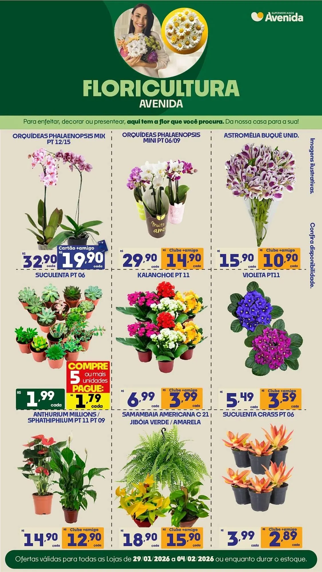 Catálogo Supermercados Avenida - 1