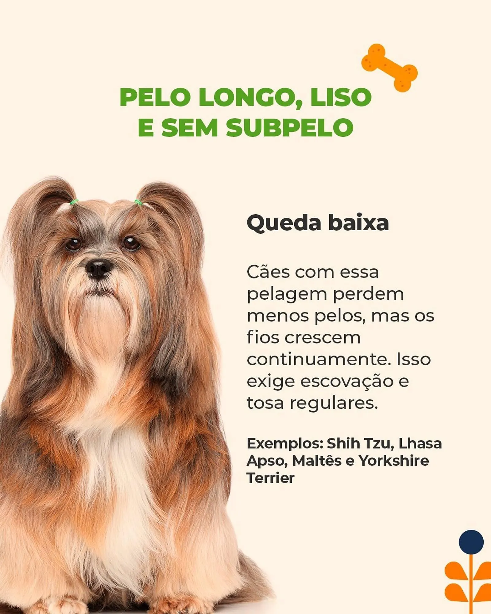 Encarte de Catálogo Cobasi 1 de outubro até 31 de outubro 2025 - Pagina 4