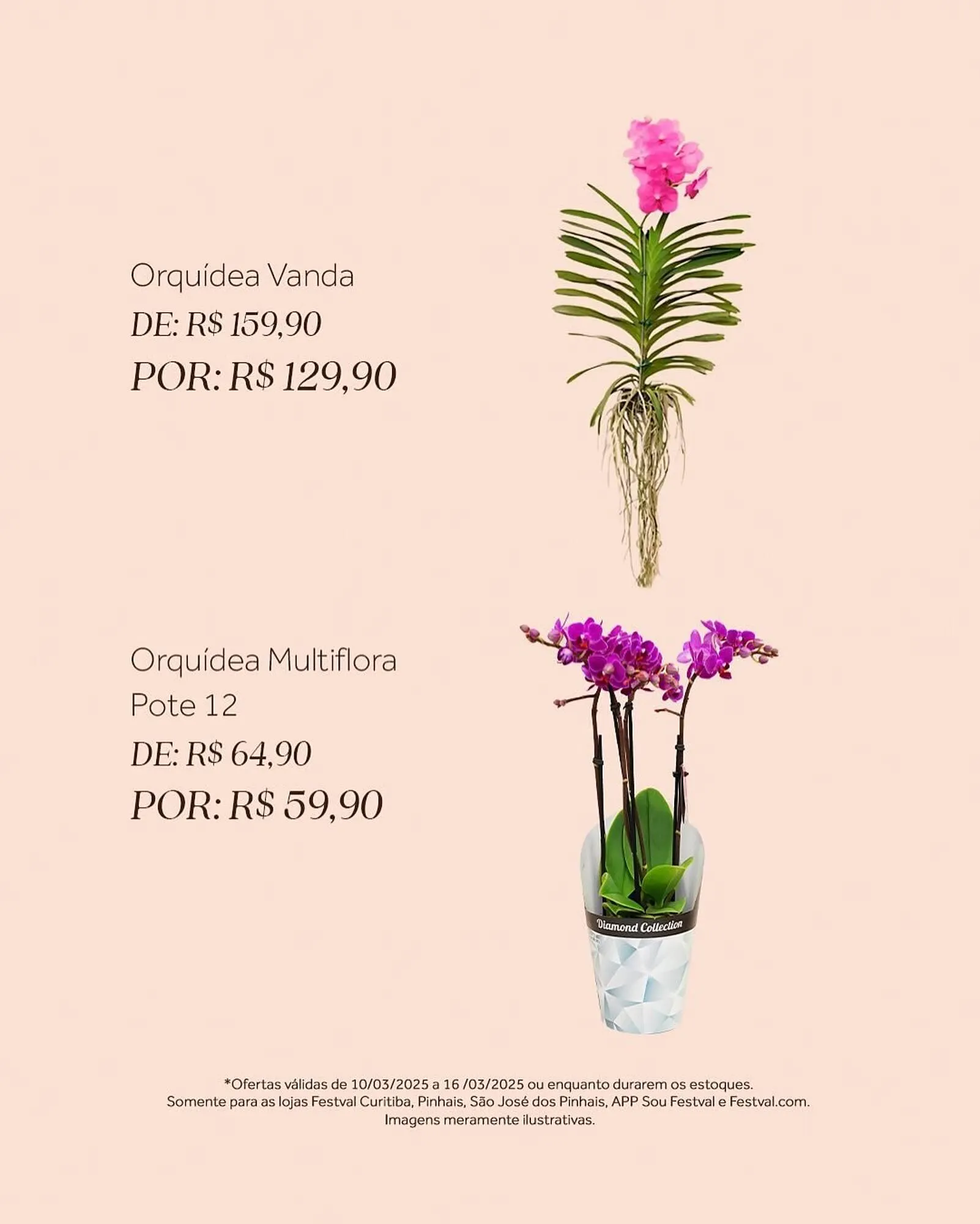 Encarte de Catálogo Festval 10 de março até 16 de março 2025 - Pagina 2