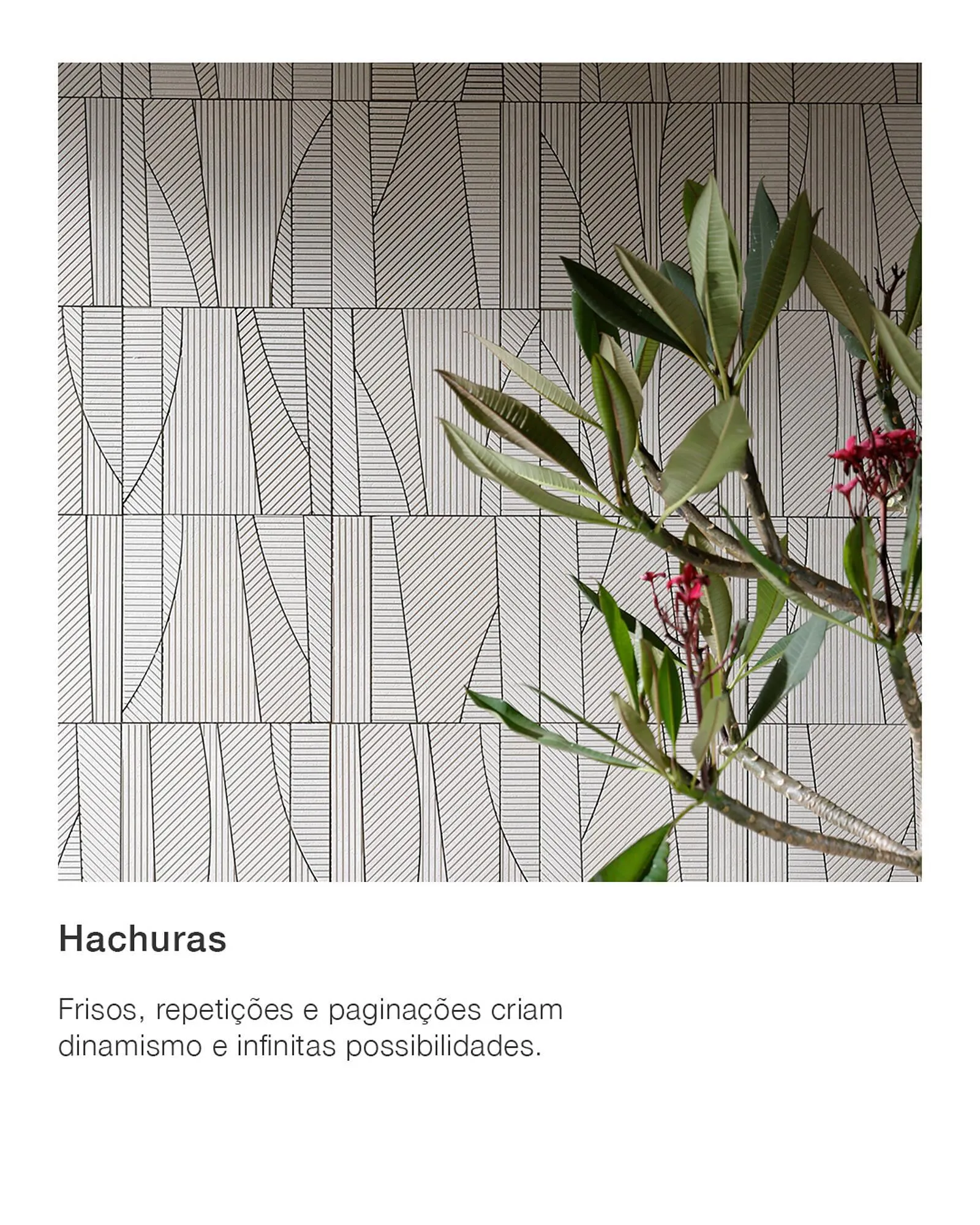 Encarte de Catálogo Portobello 6 de agosto até 31 de agosto 2025 - Pagina 4