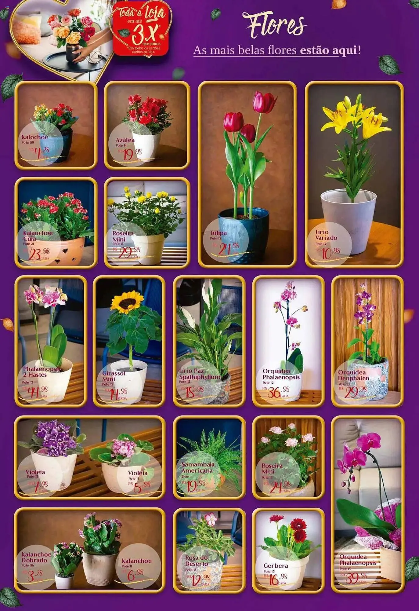 Encarte de Catálogo Muffato 1 de maio até 11 de maio 2025 - Pagina 2