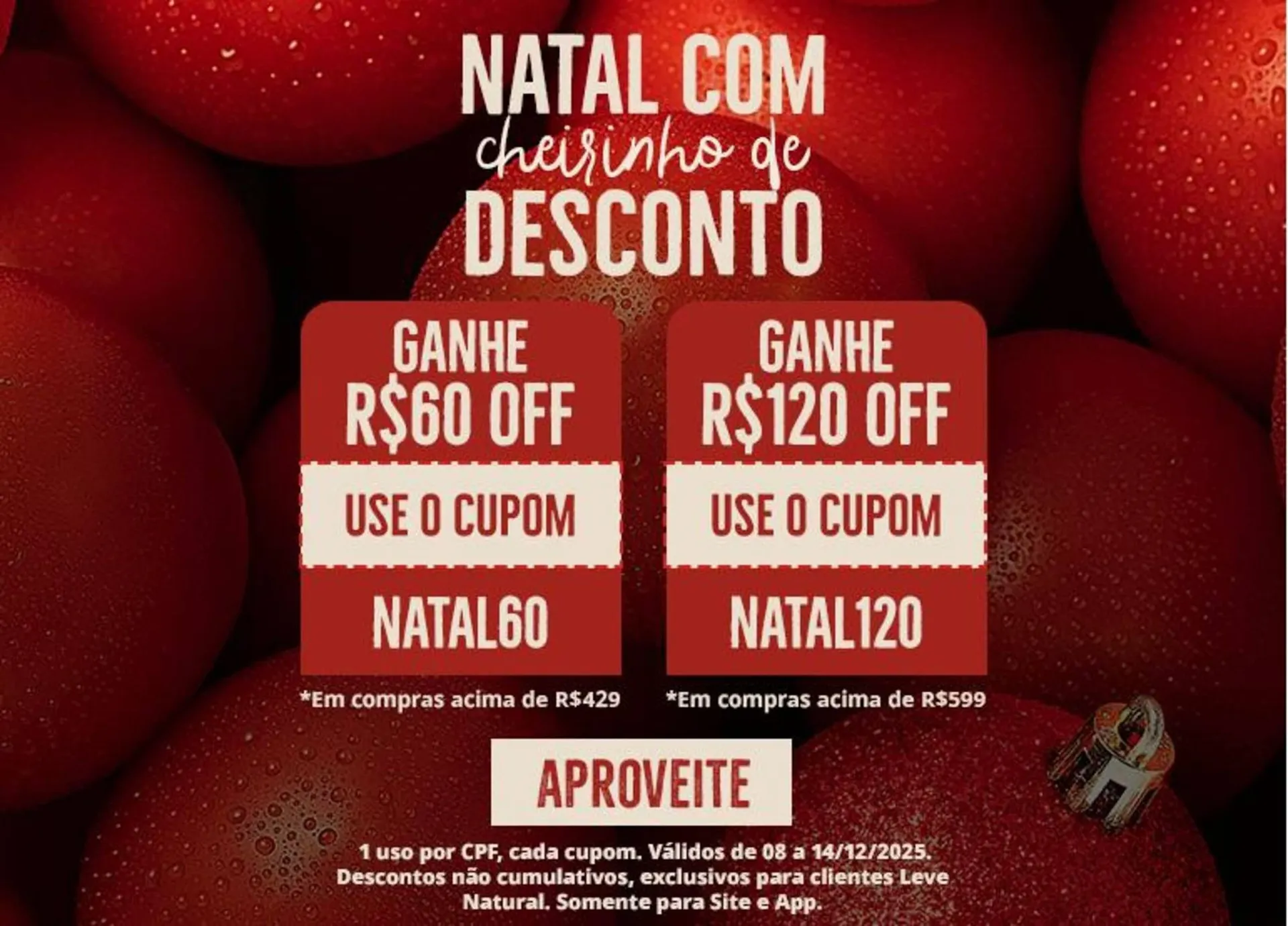 Encarte de Catálogo Natural da Terra 19 de dezembro até 27 de dezembro 2025 - Pagina 2