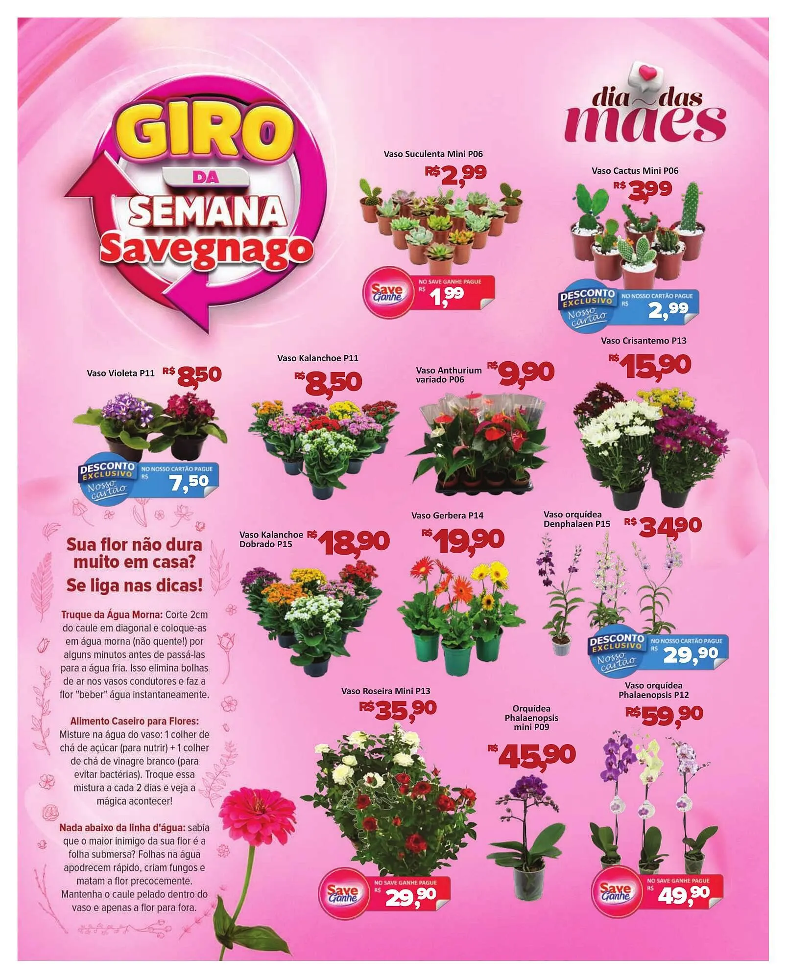 Encarte de Catálogo Supermercados Savegnago 29 de abril até 12 de maio 2026 - Pagina 2
