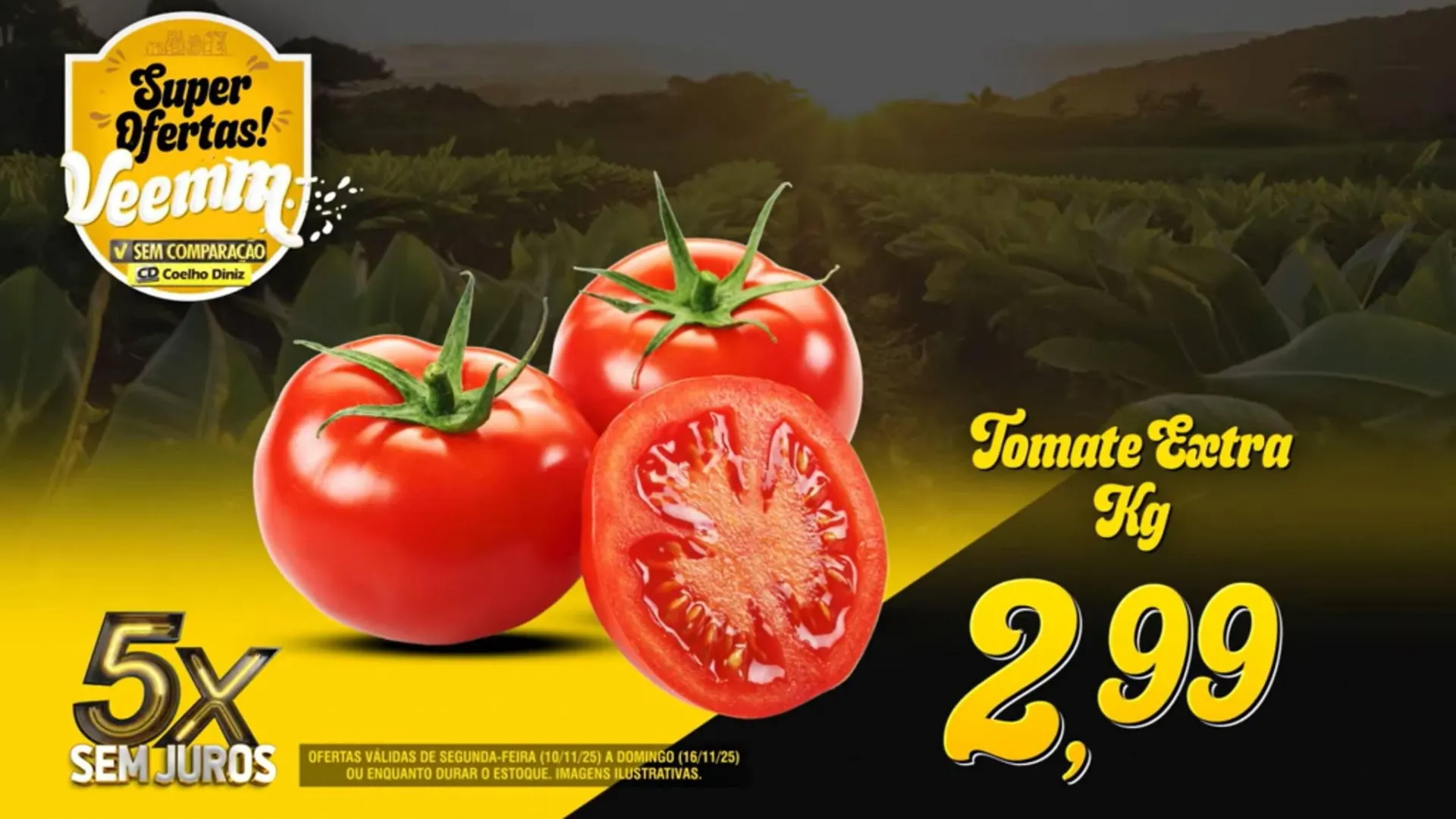 Encarte de Folheto Coelho Diniz 10 de novembro até 16 de novembro 2025 - Pagina 7