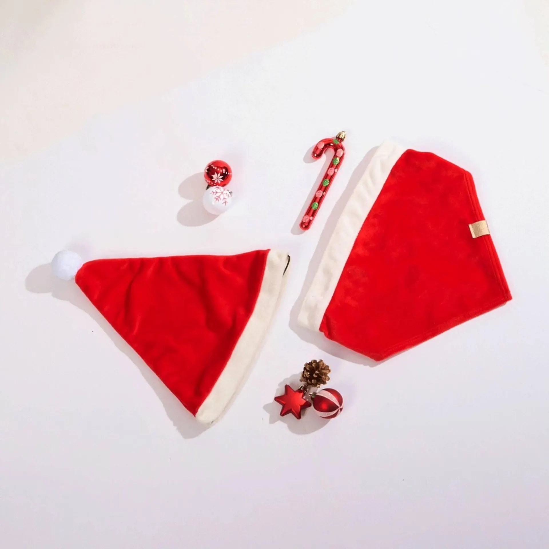 Encarte de Catálogo Cobasi 12 de dezembro até 18 de dezembro 2025 - Pagina 5