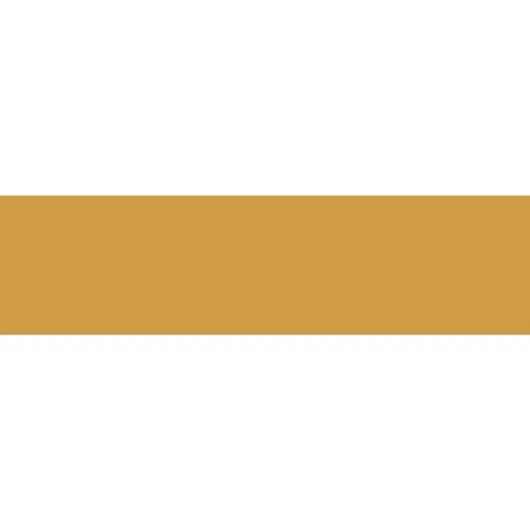 Revestimento Para Fachada Innova Mustard Ceral 10x38 cm