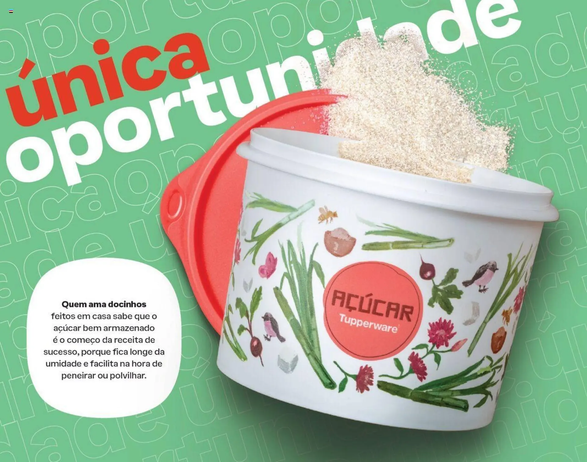 Encarte de Catálogo Tupperware 1 de abril até 30 de abril 2024 - Pagina 45