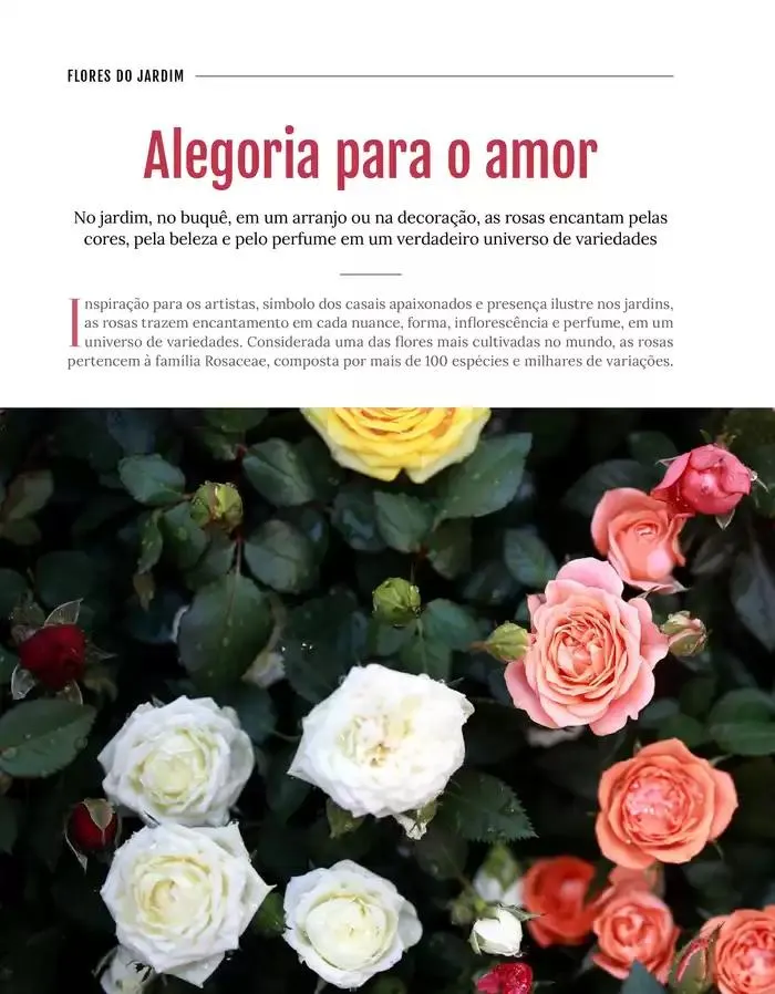 Encarte de Menu Festval 13 de novembro até 30 de novembro 2024 - Pagina 56