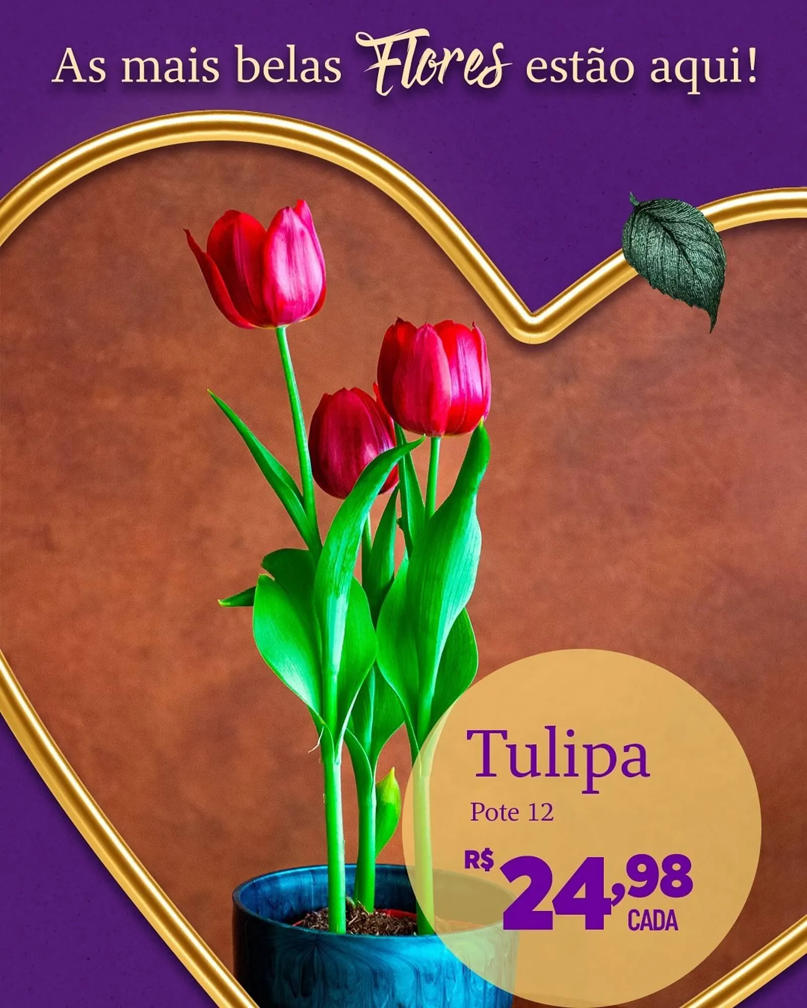 Encarte de Catálogo Muffato 4 de maio até 11 de maio 2025 - Pagina 3