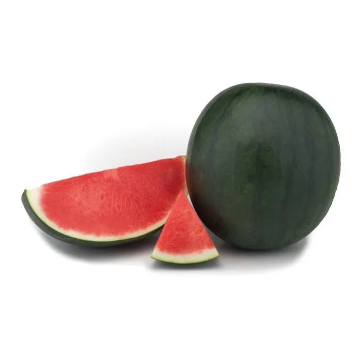 Melancia Pingo Doce Koch Bj Kg