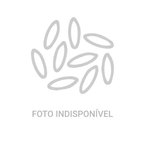 Ovos Vermelho Grande Serovos Bandeja 20 Unidades