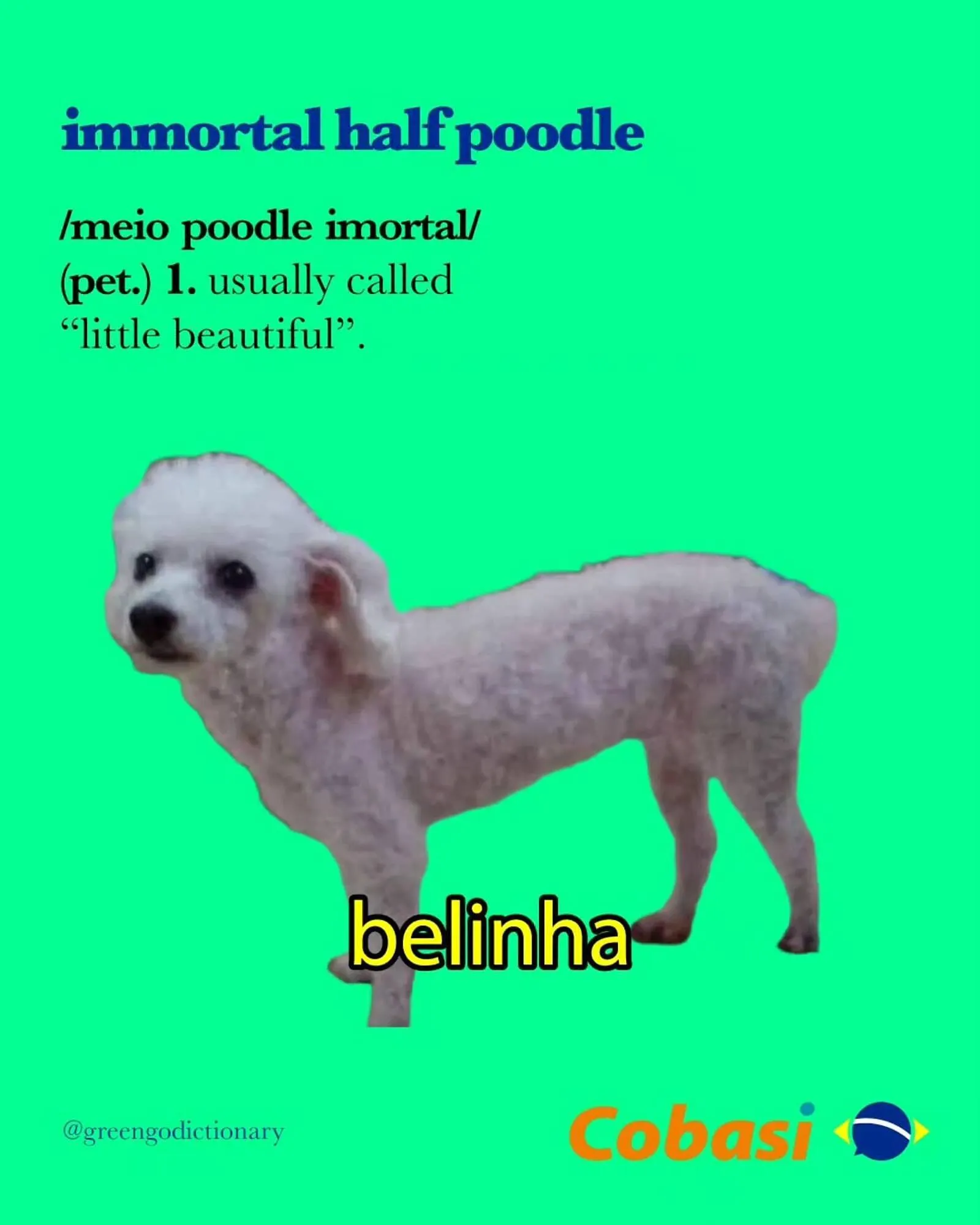 Catálogo Cobasi - 1