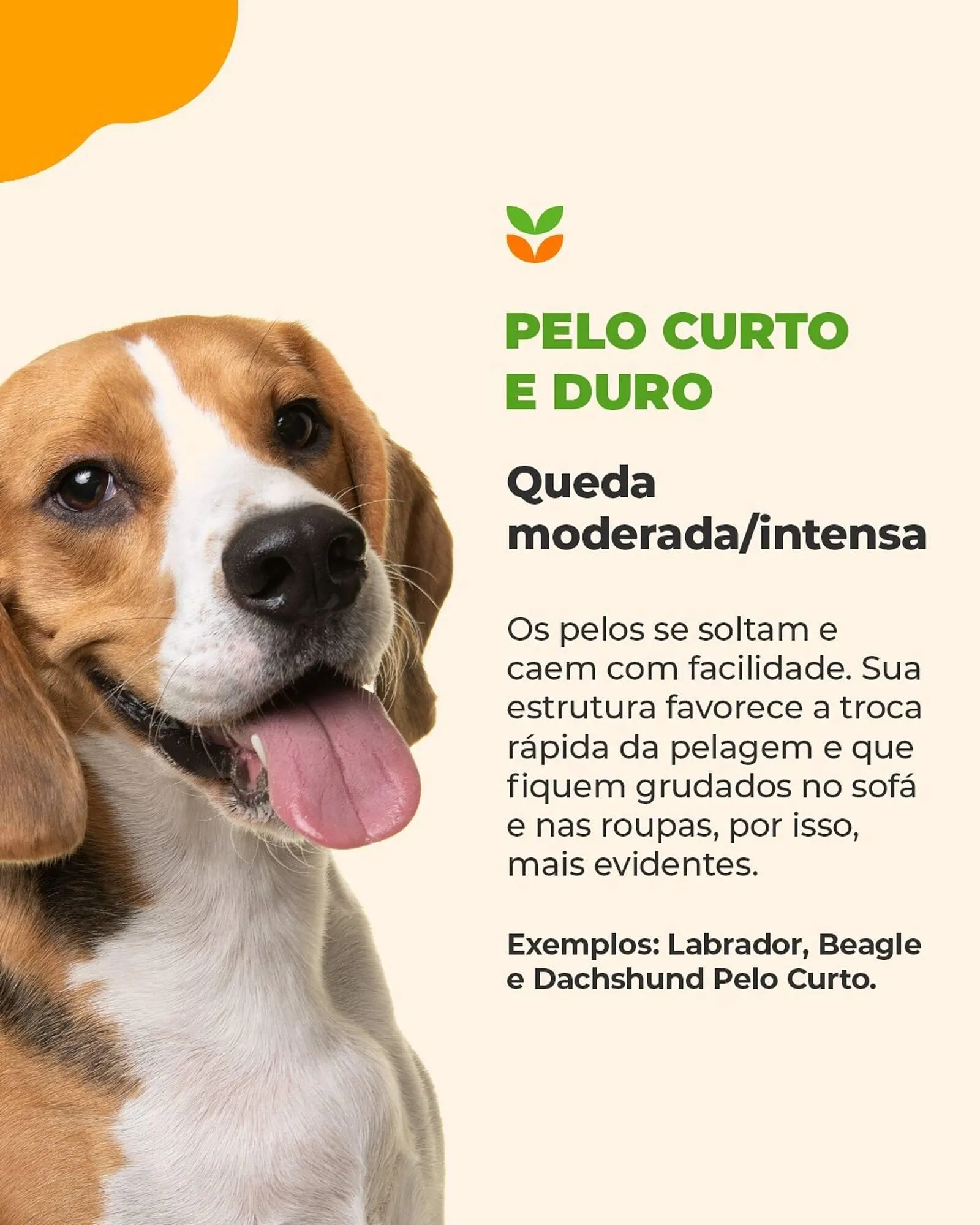 Encarte de Catálogo Cobasi 1 de outubro até 31 de outubro 2025 - Pagina 3