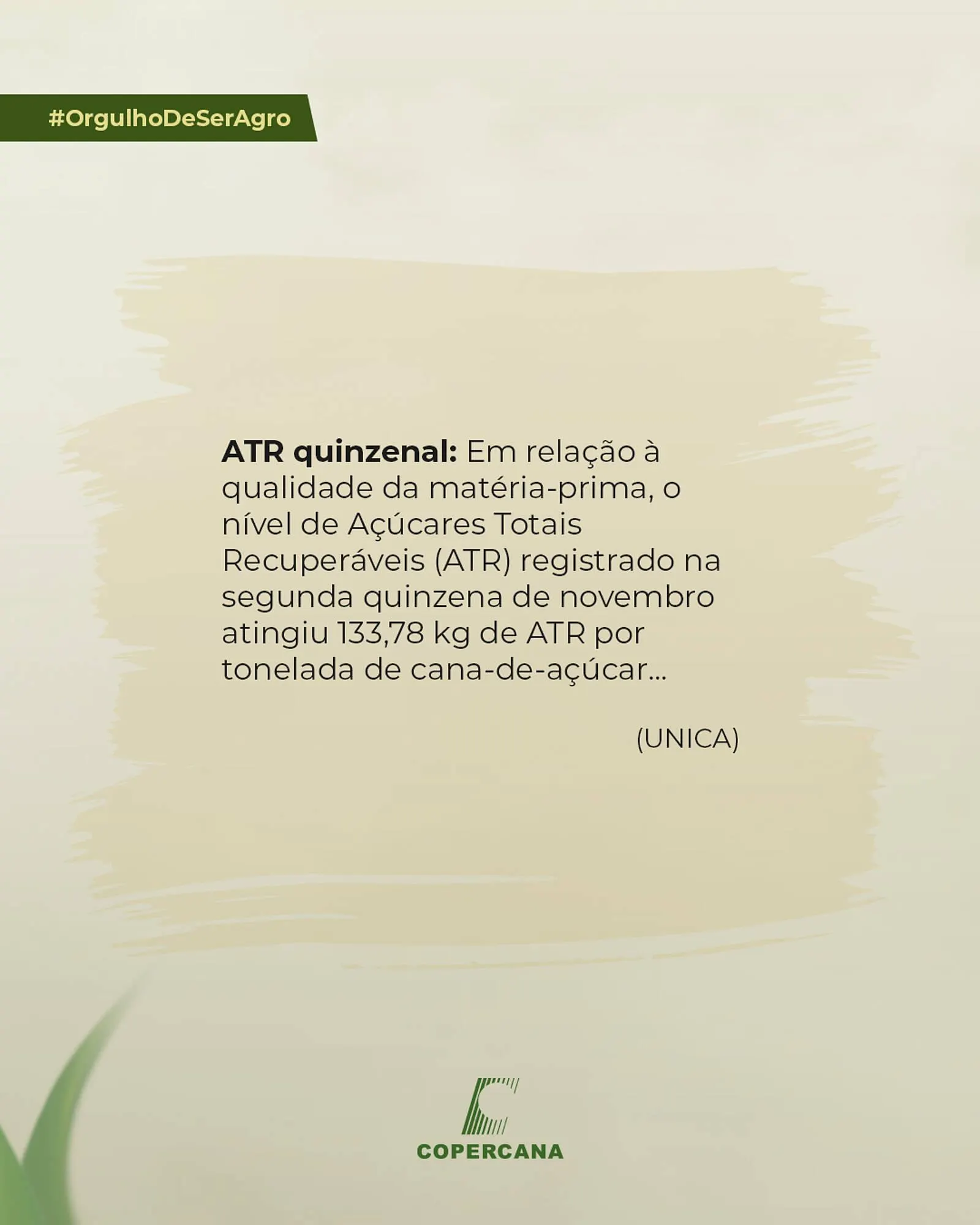 Encarte de Tabloide Copercana 18 de dezembro até 18 de dezembro 2025 - Pagina 5