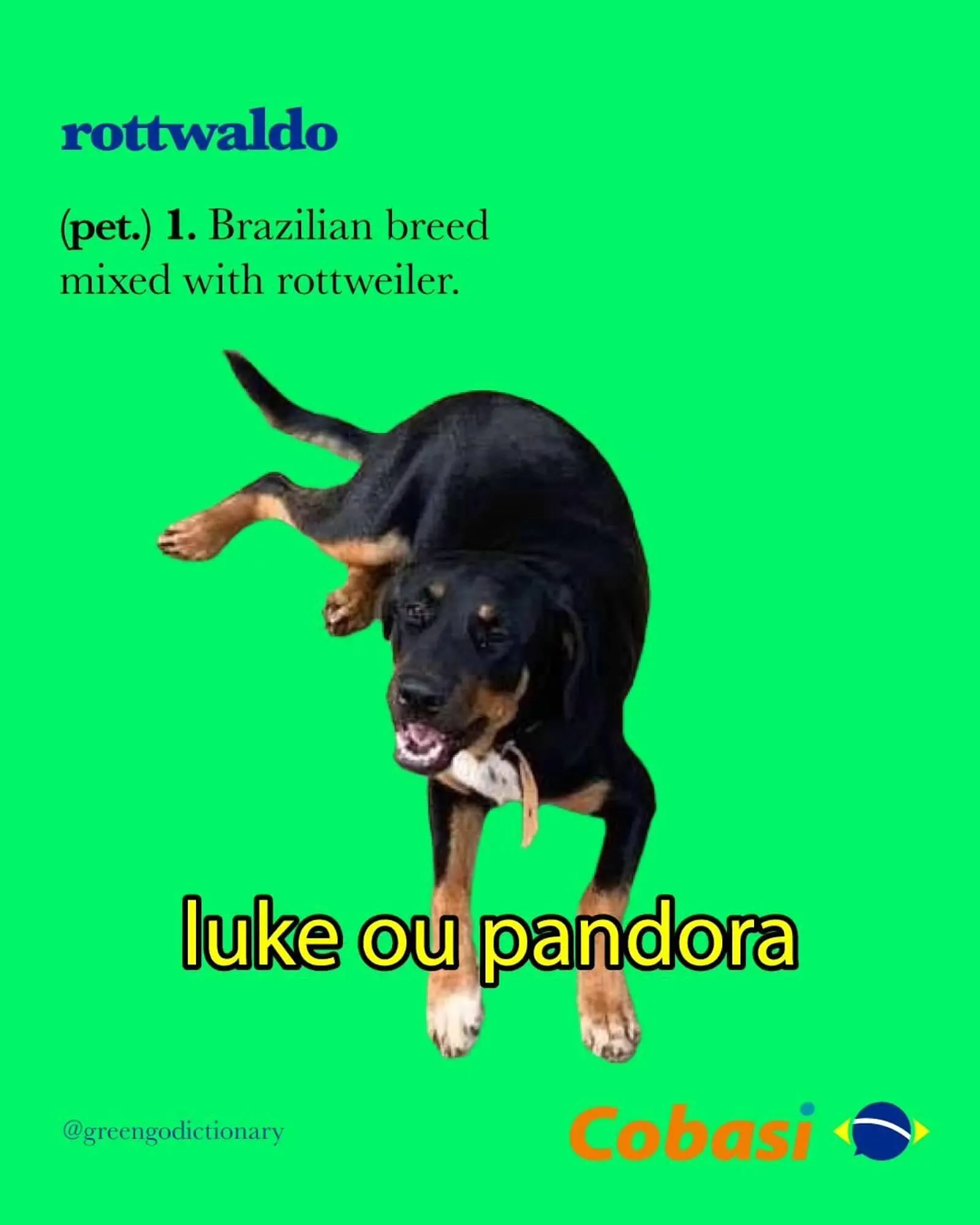 Encarte de Catálogo Cobasi 7 de agosto até 31 de agosto 2025 - Pagina 4