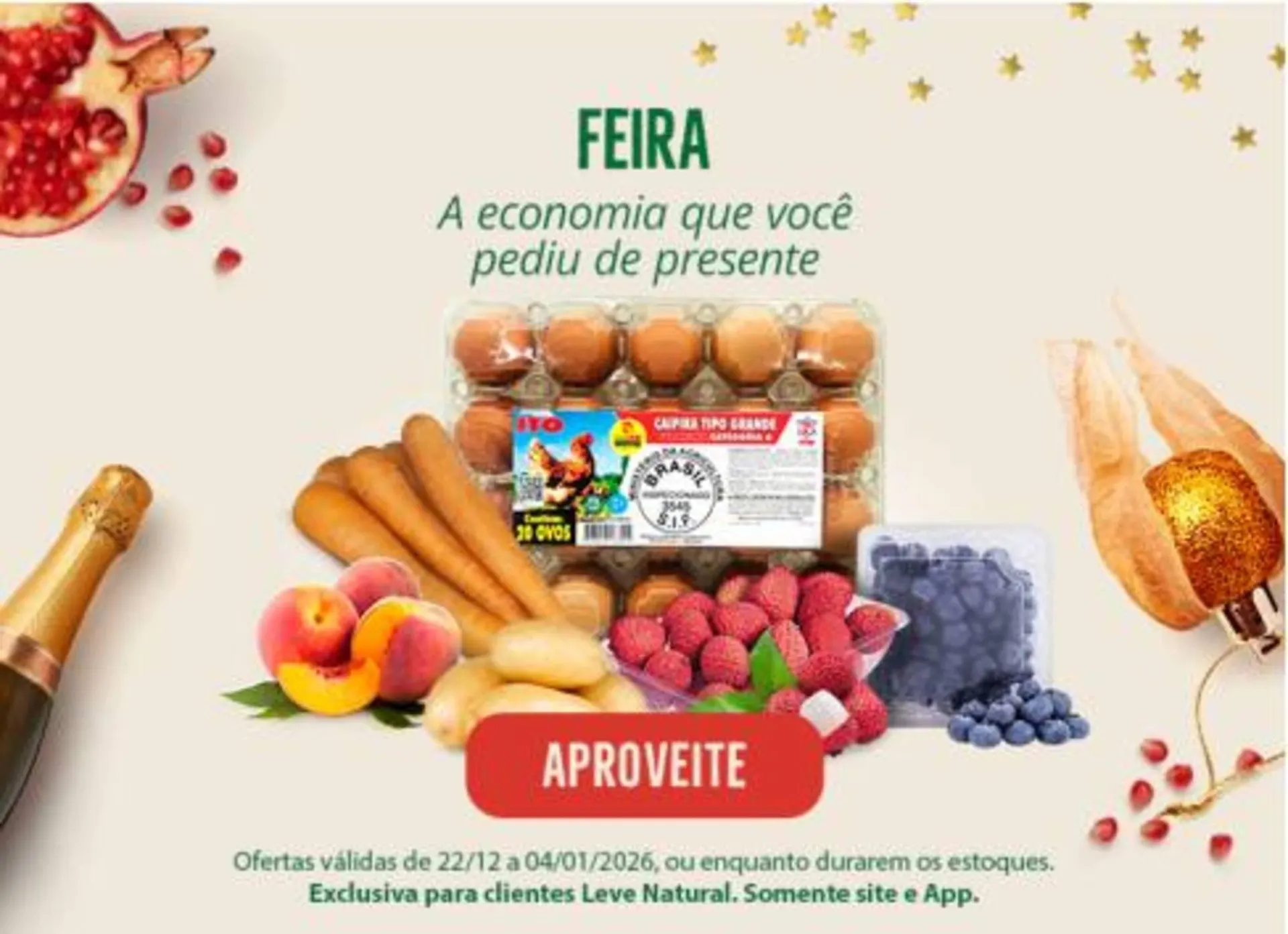 Encarte de Catálogo Natural da Terra 29 de dezembro até 4 de janeiro 2026 - Pagina 4