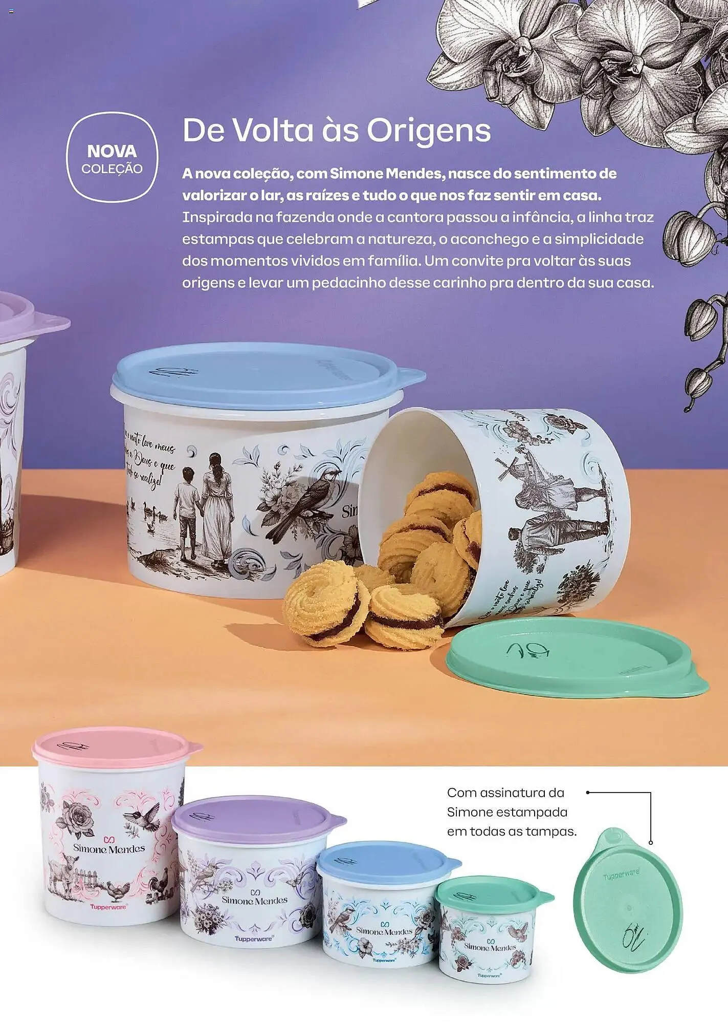 Encarte de Catálogo Tupperware 1 de fevereiro até 28 de fevereiro 2026 - Pagina 3