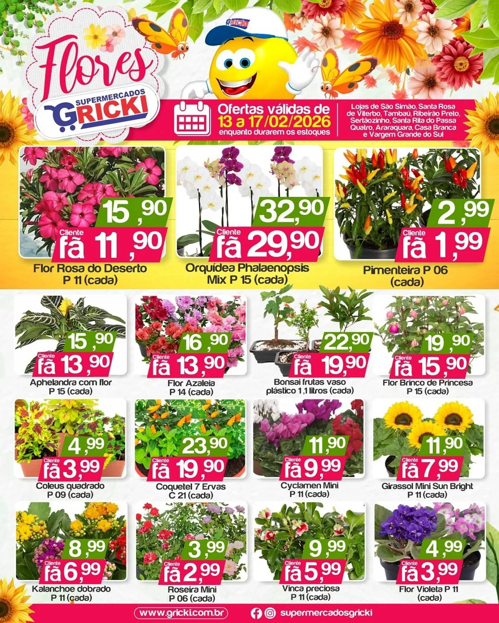 Catálogo Supermercados Gricki - 1