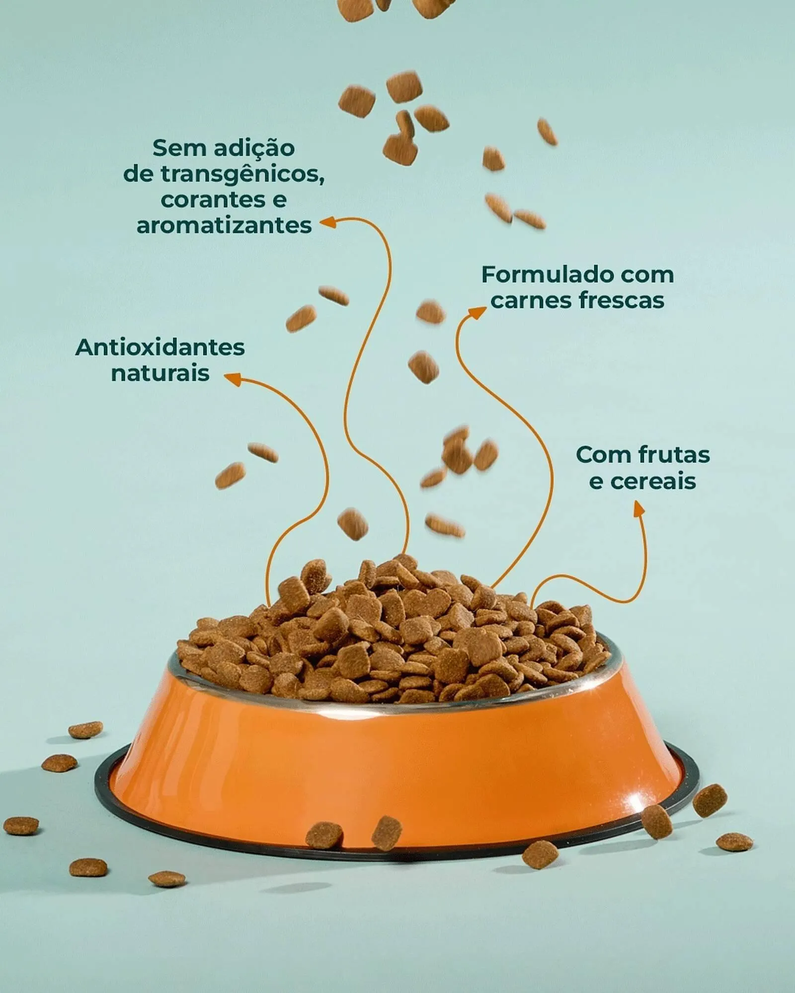 Encarte de Catálogo Cobasi 23 de março até 30 de março 2026 - Pagina 4