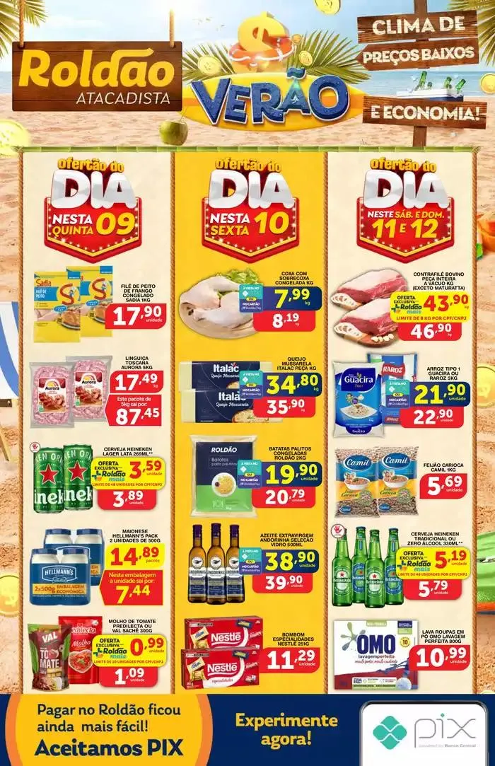 Encarte de Verão Roldão 9 de janeiro até 12 de janeiro 2025 - Pagina 1