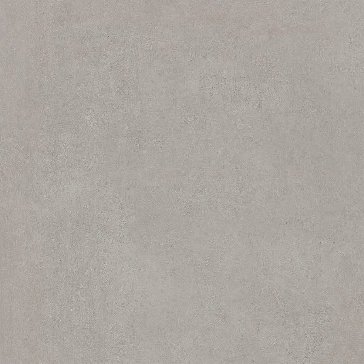 Porcelanato Esmaltado Retificado Distrito Sgr Natural Portinari