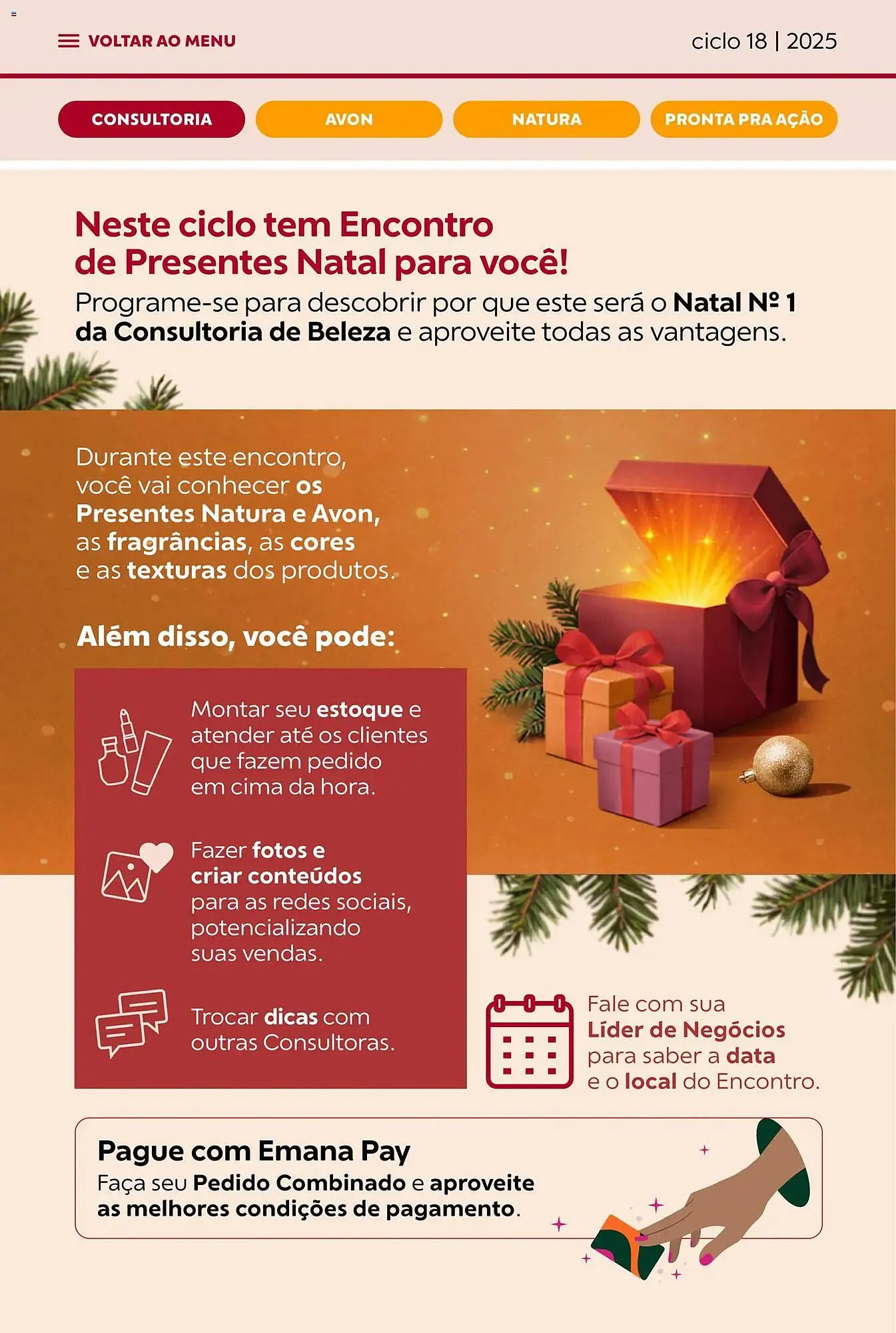 Encarte de Catálogo Avon 29 de outubro até 30 de novembro 2025 - Pagina 4