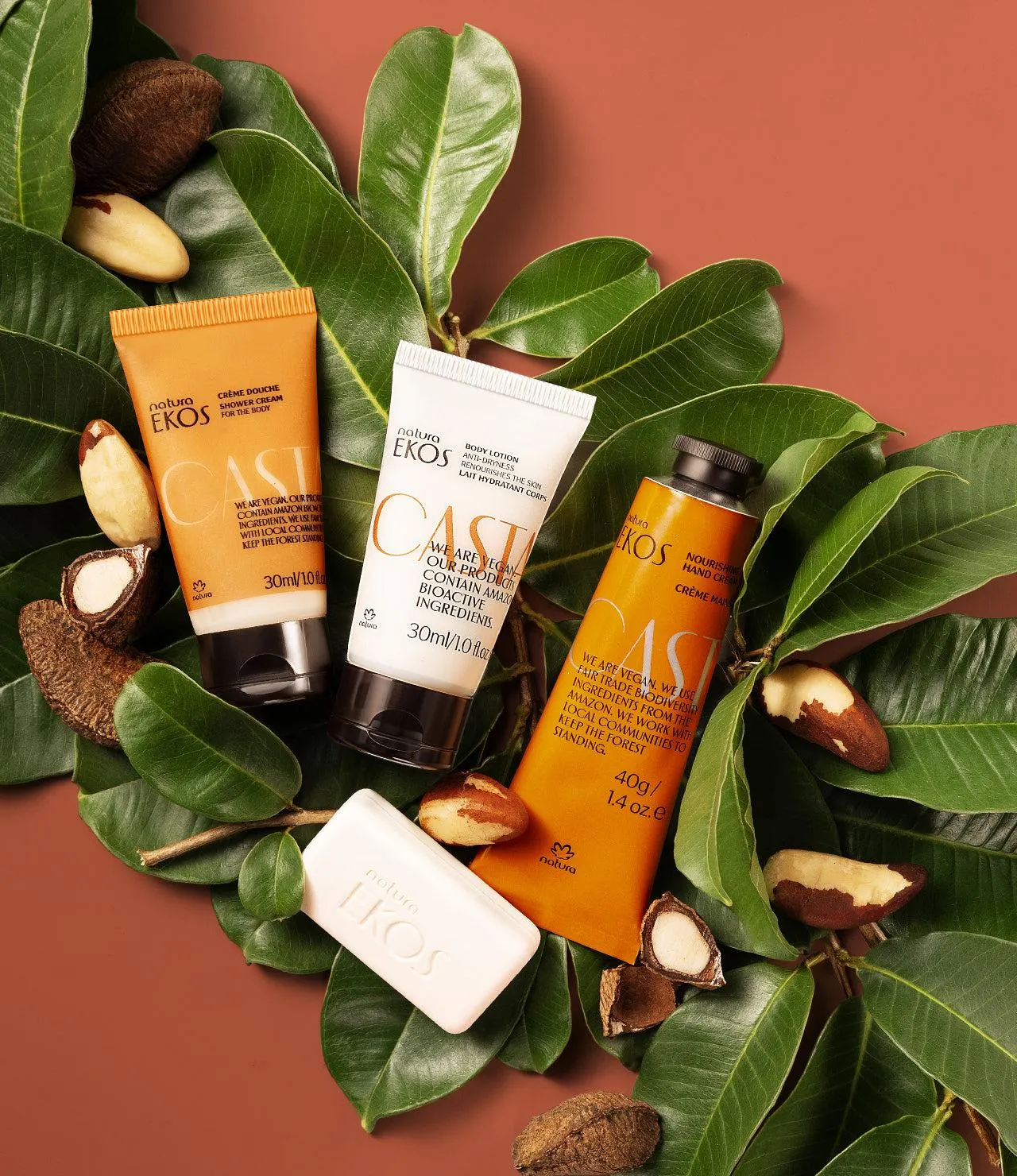 Castanha Brazil Nut Dream Quartet Minis Set