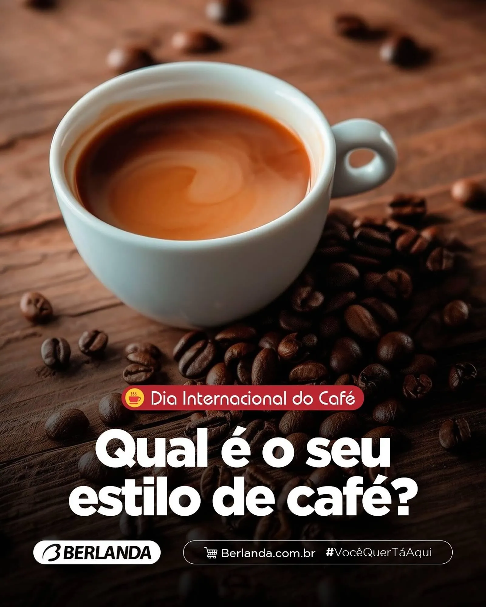 Catálogo Berlanda - 1