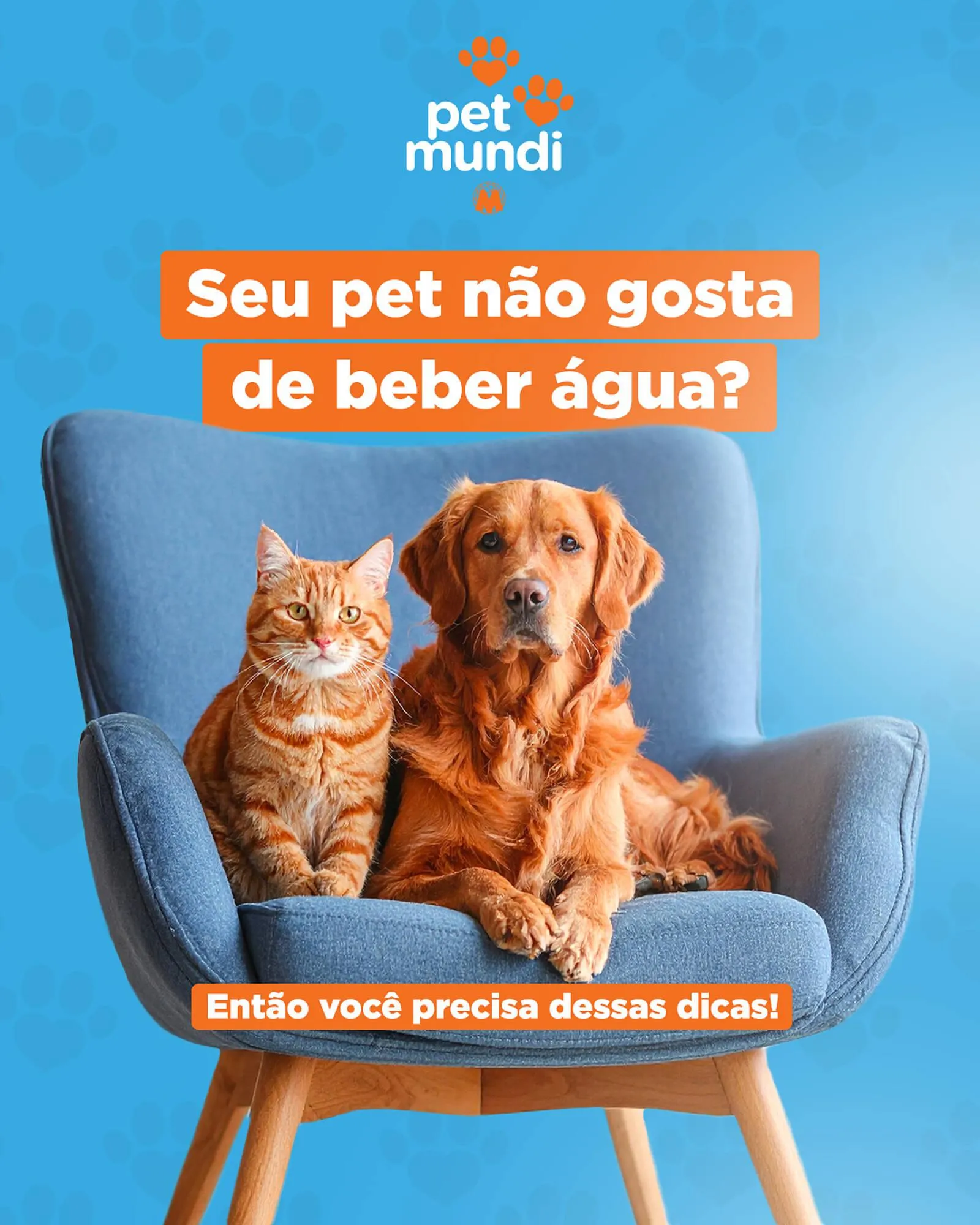 Encarte Supermercados Mundial - 1