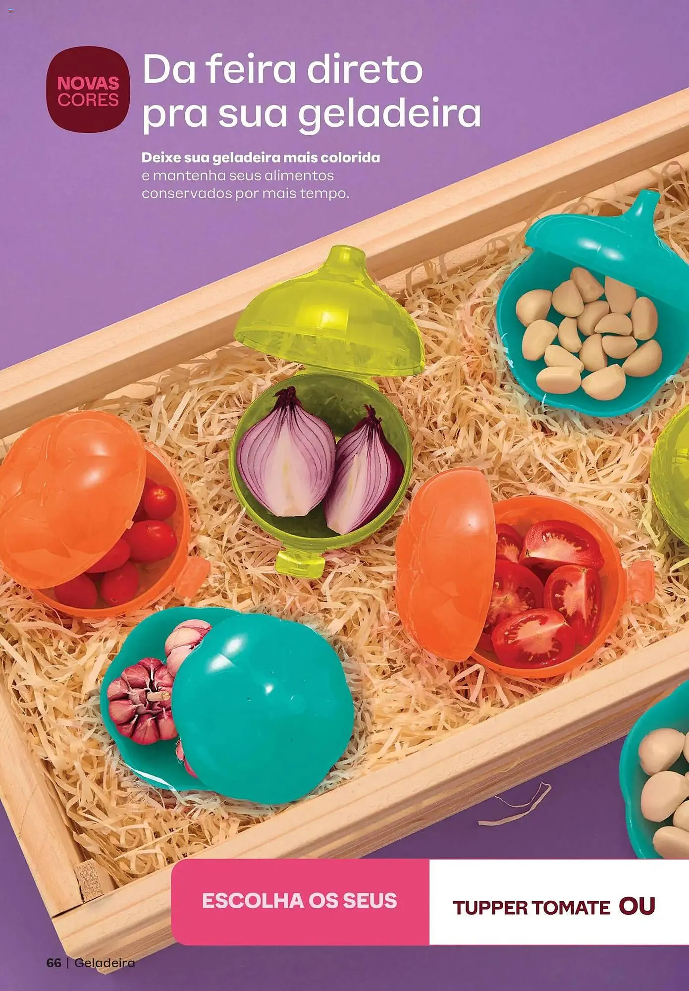 Encarte de Catálogo Tupperware 1 de fevereiro até 28 de fevereiro 2026 - Pagina 84