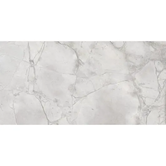 Porcelanato Elizabeth Maxisilver Polido 60x120cm Retificado